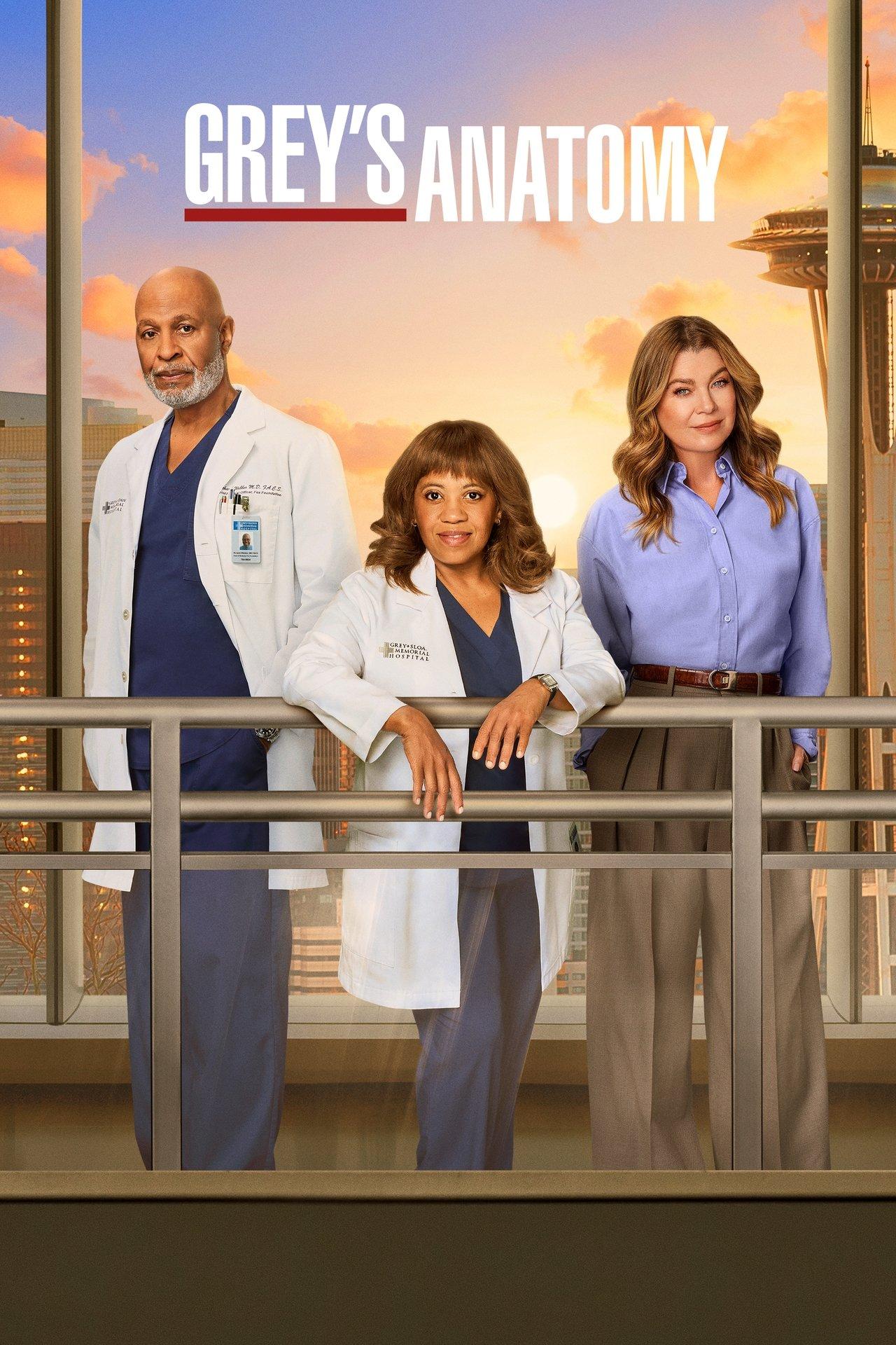 Grey's Anatomy streaming