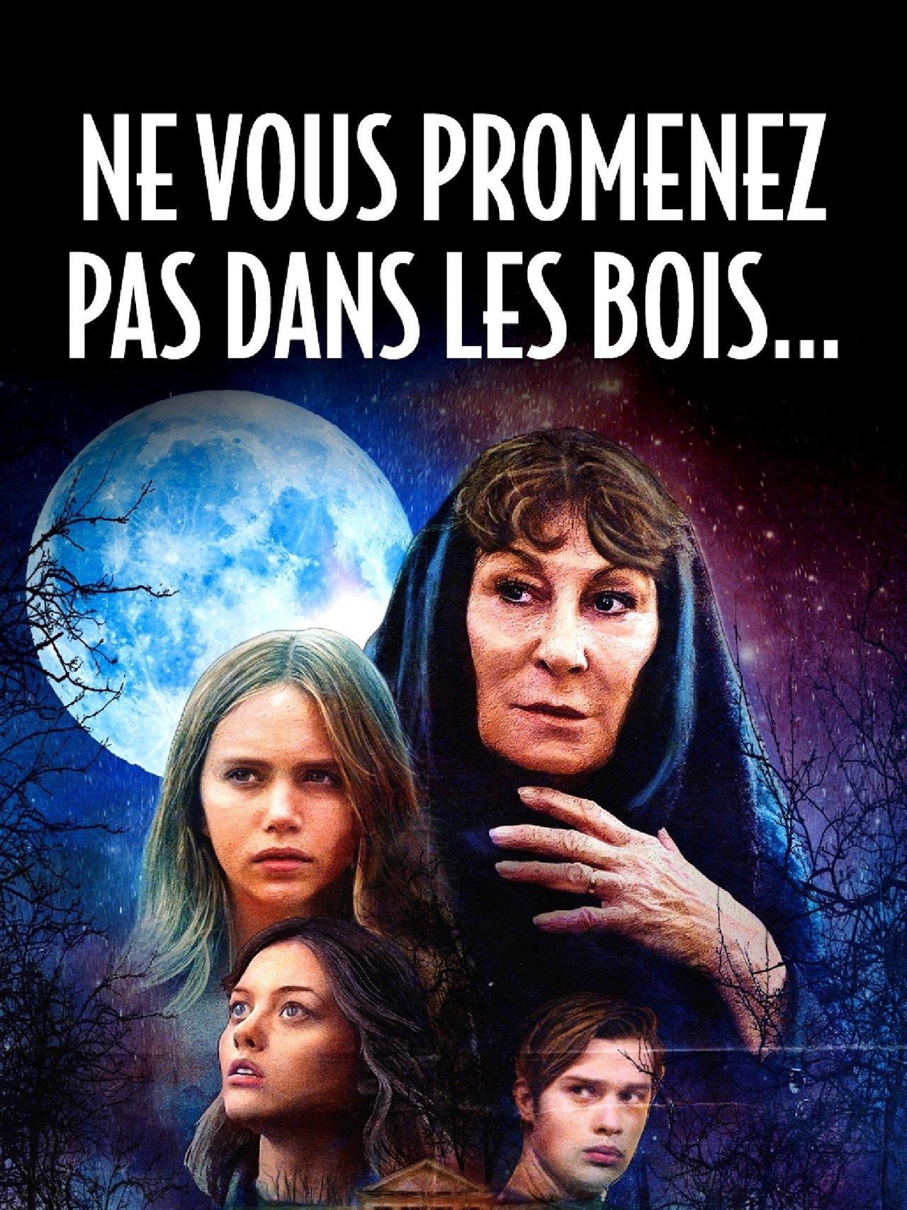 Ne vous promenez pas dans les bois... streaming