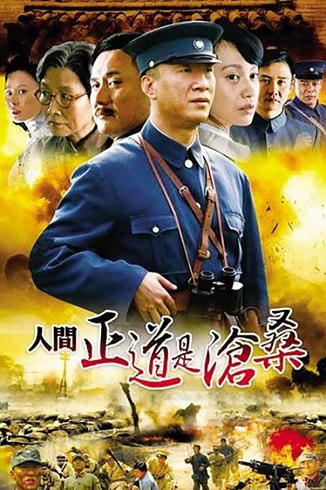 人间正道是沧桑 streaming
