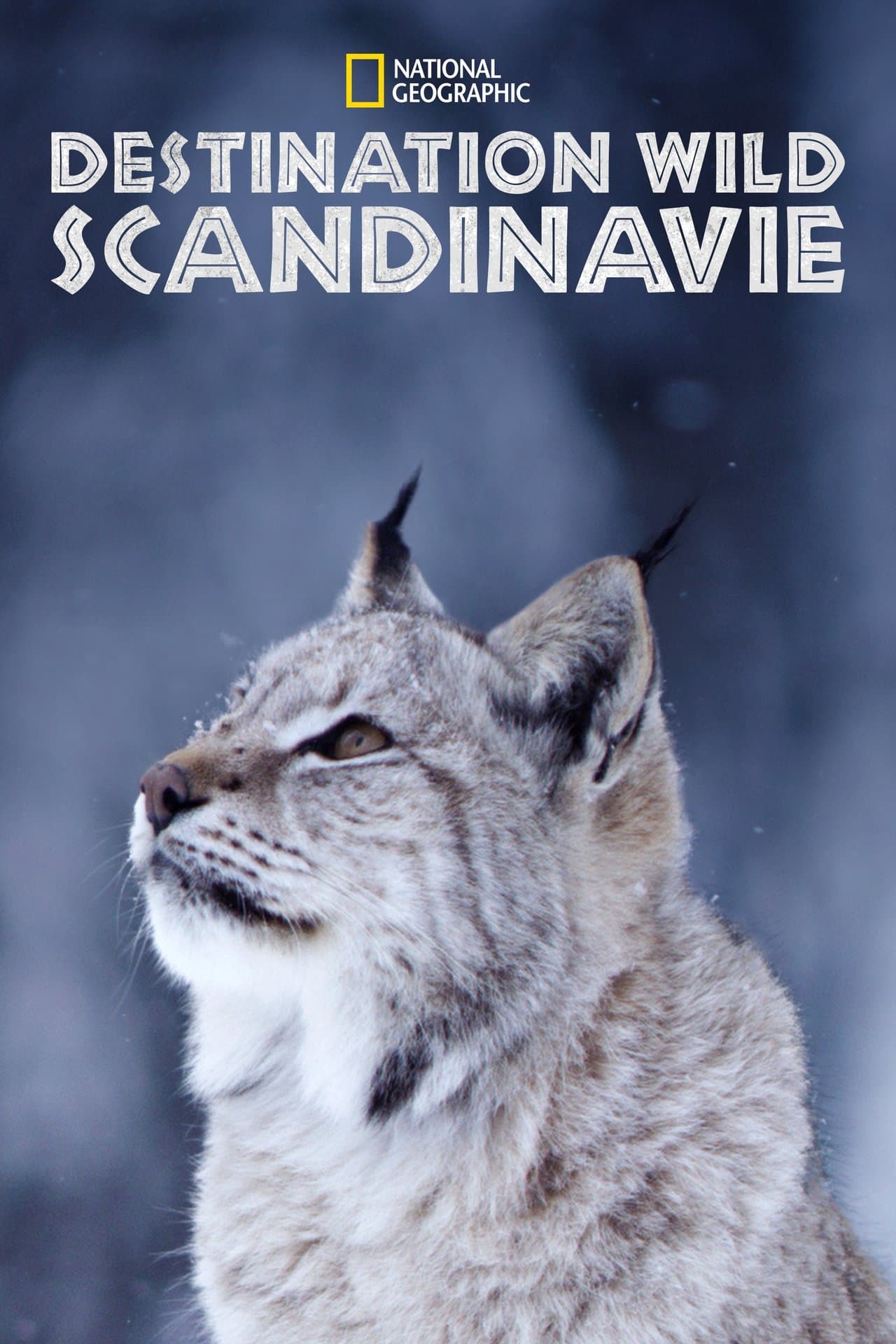 Destination Wild Scandinavie streaming