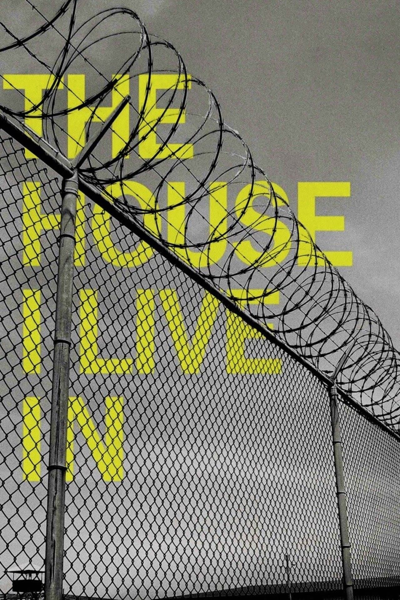 Les États-Unis et la Drogue : une Guerre sans Fin streaming