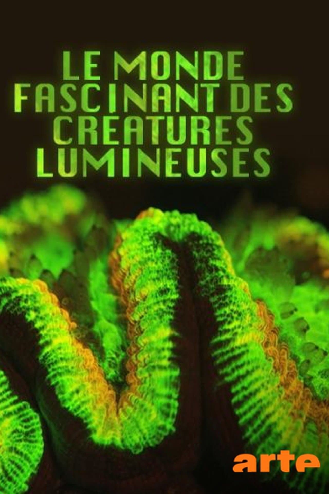 Le monde fascinant des créatures lumineuses streaming