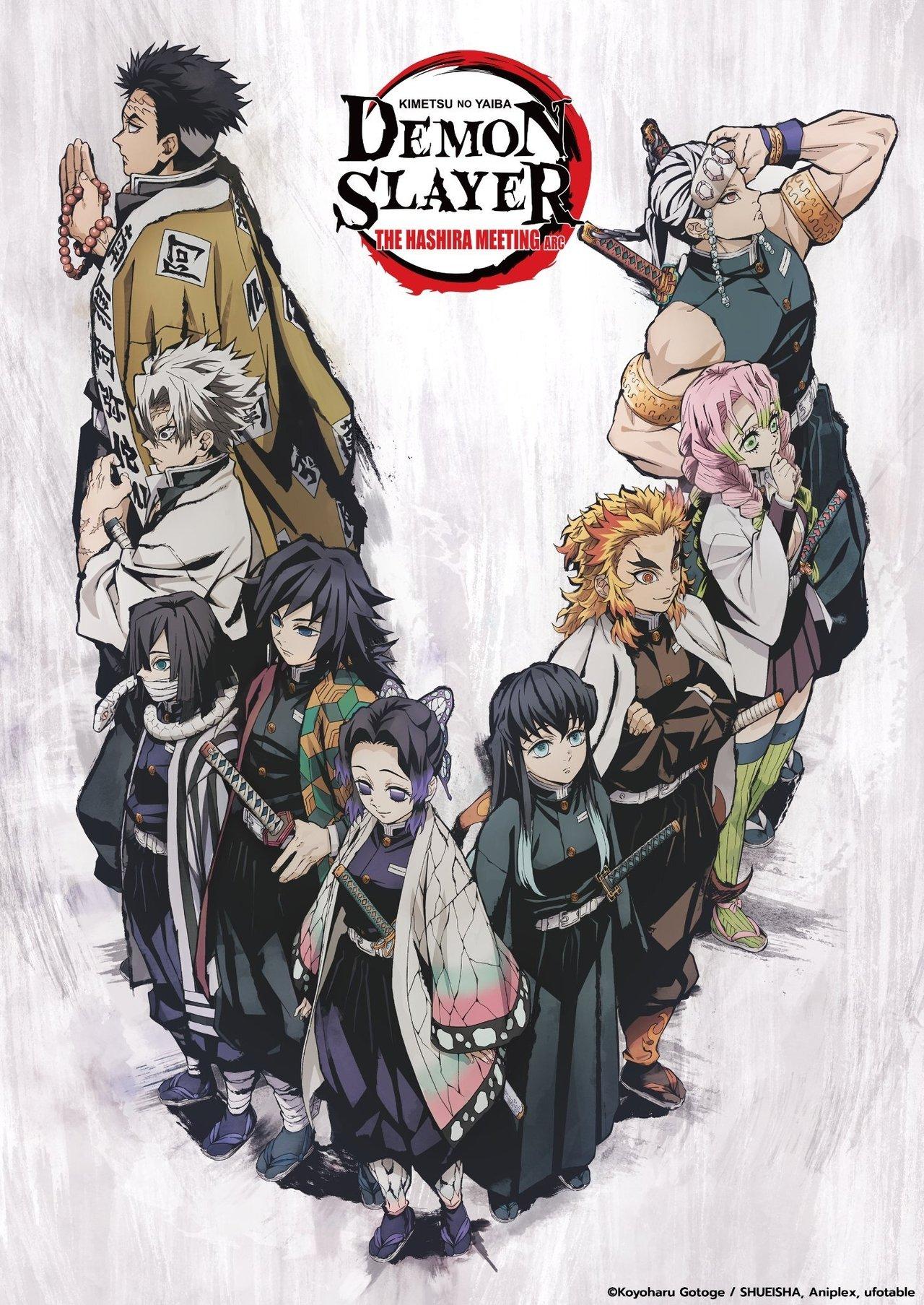 Demon Slayer: Kimetsu no Yaiba - The Hashira Meeting Arc streaming