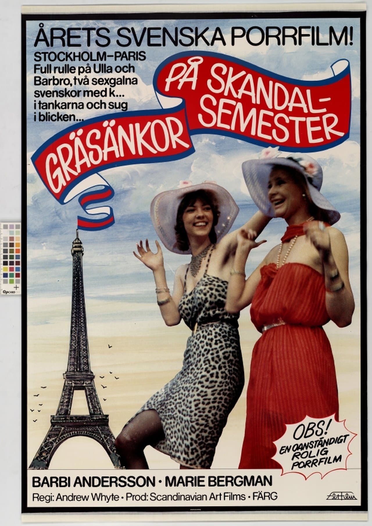 Crazy Swedish Holidays in Paris streaming