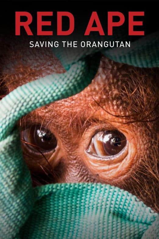 Red Ape: Saving the Orangutan streaming