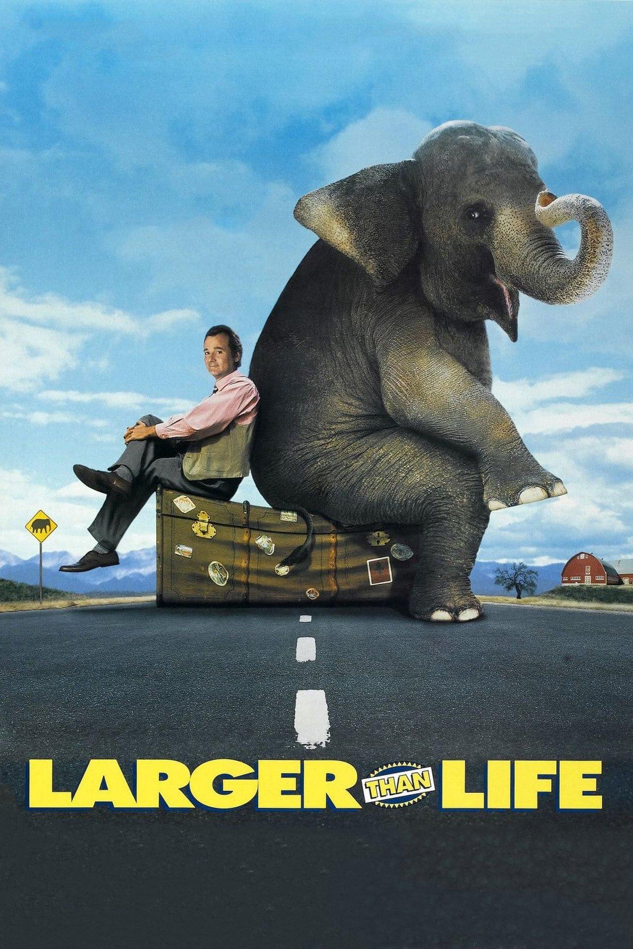 Un éléphant sur les bras streaming