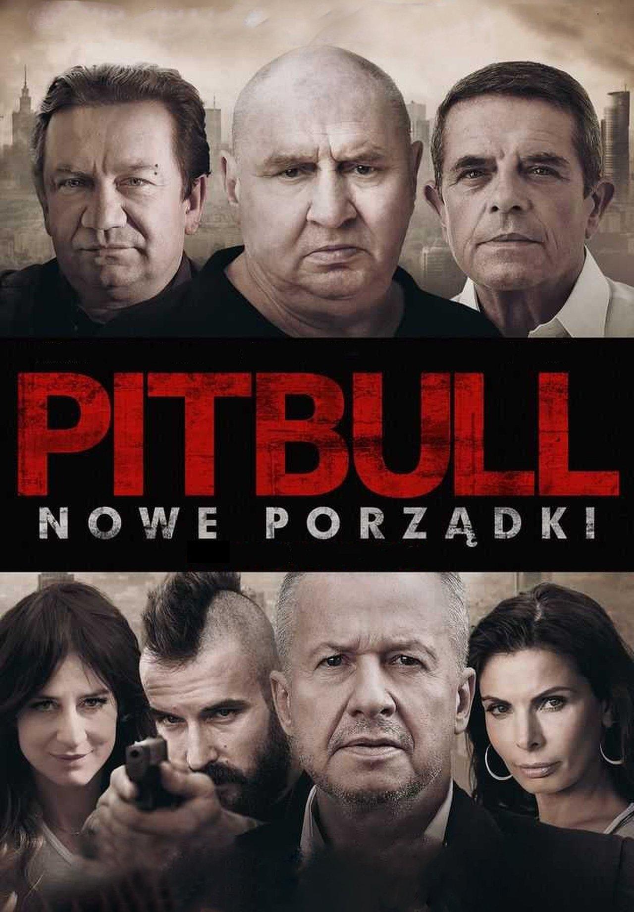 Pitbull: Public Orders streaming
