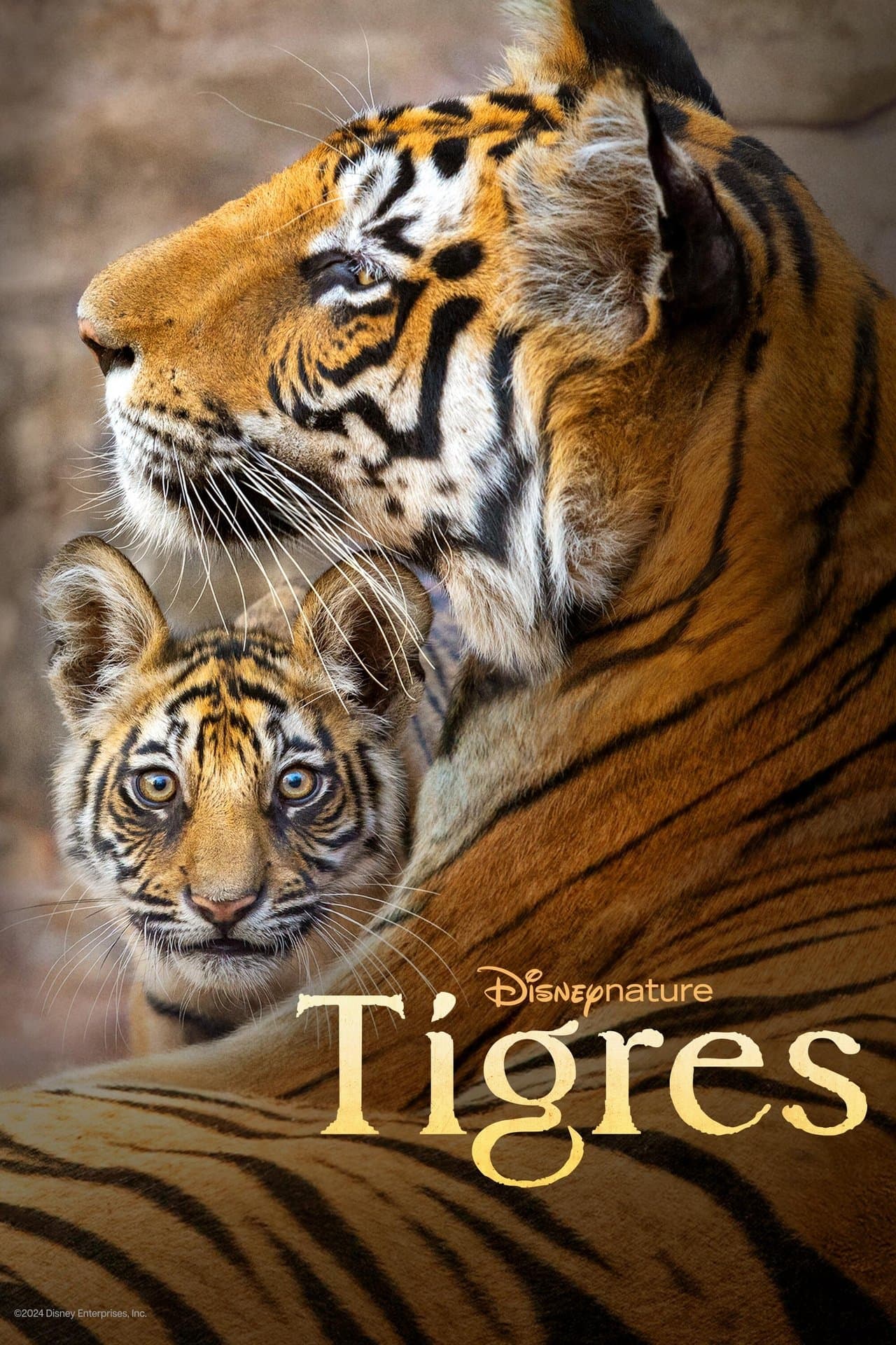 Tigres streaming