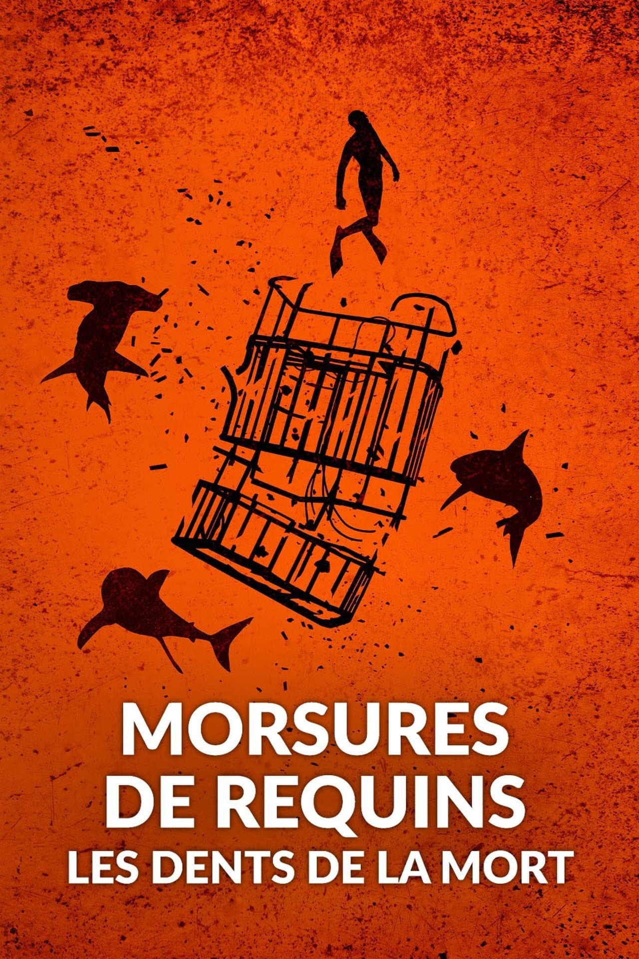 Morsures de requins : les dents de la mort streaming