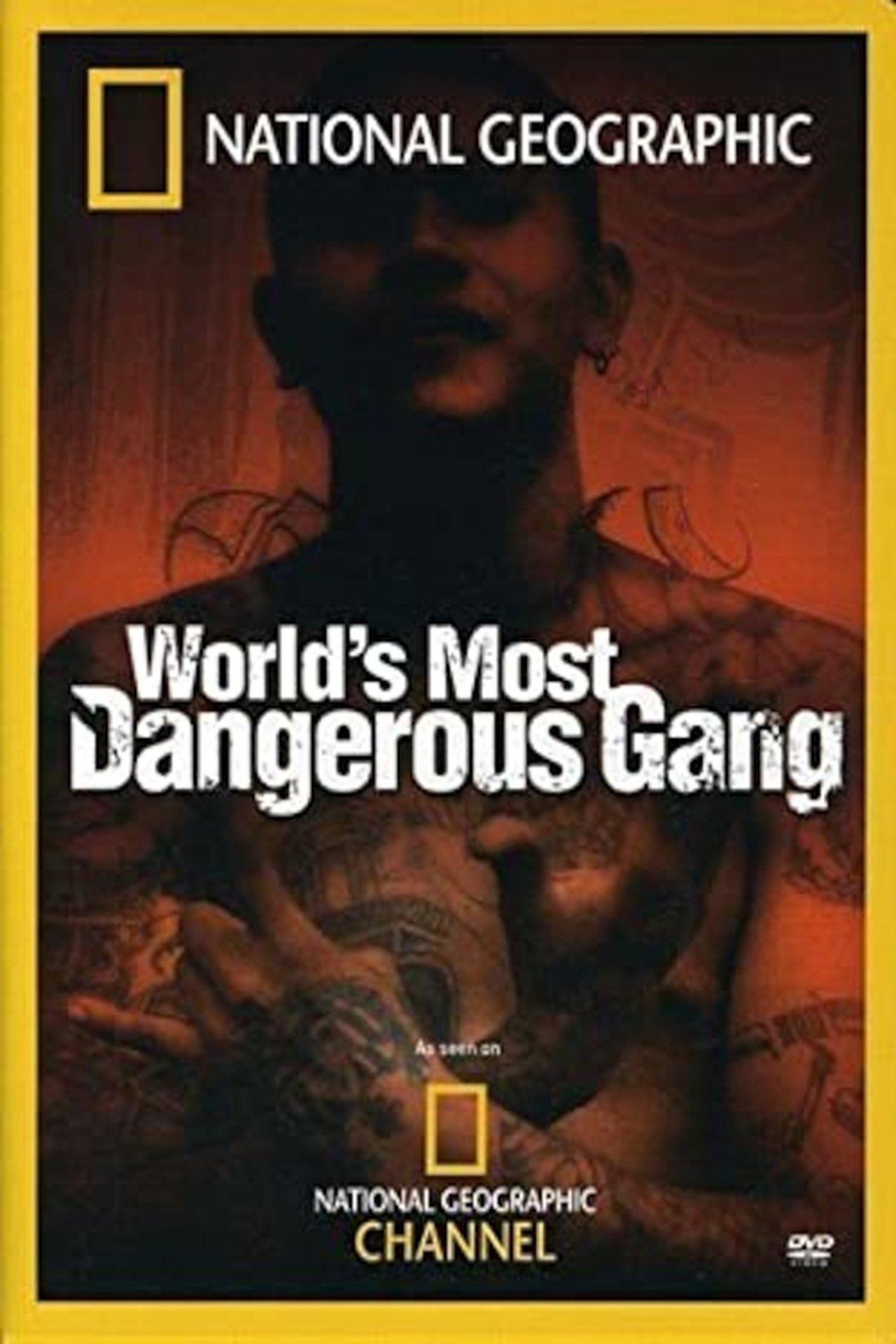 World's Most Dangerous Gang streaming