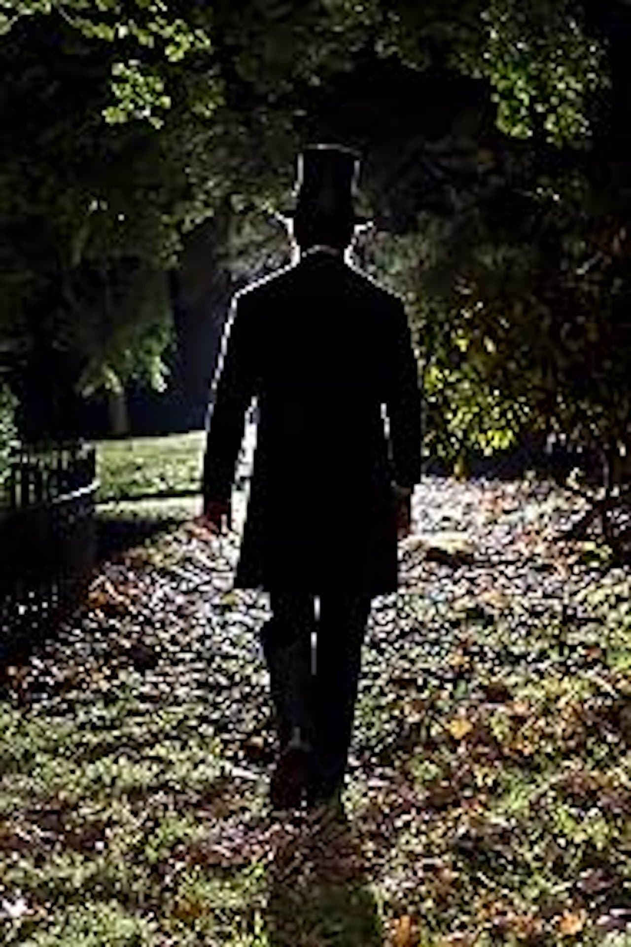 Lincoln in the Bardo streaming