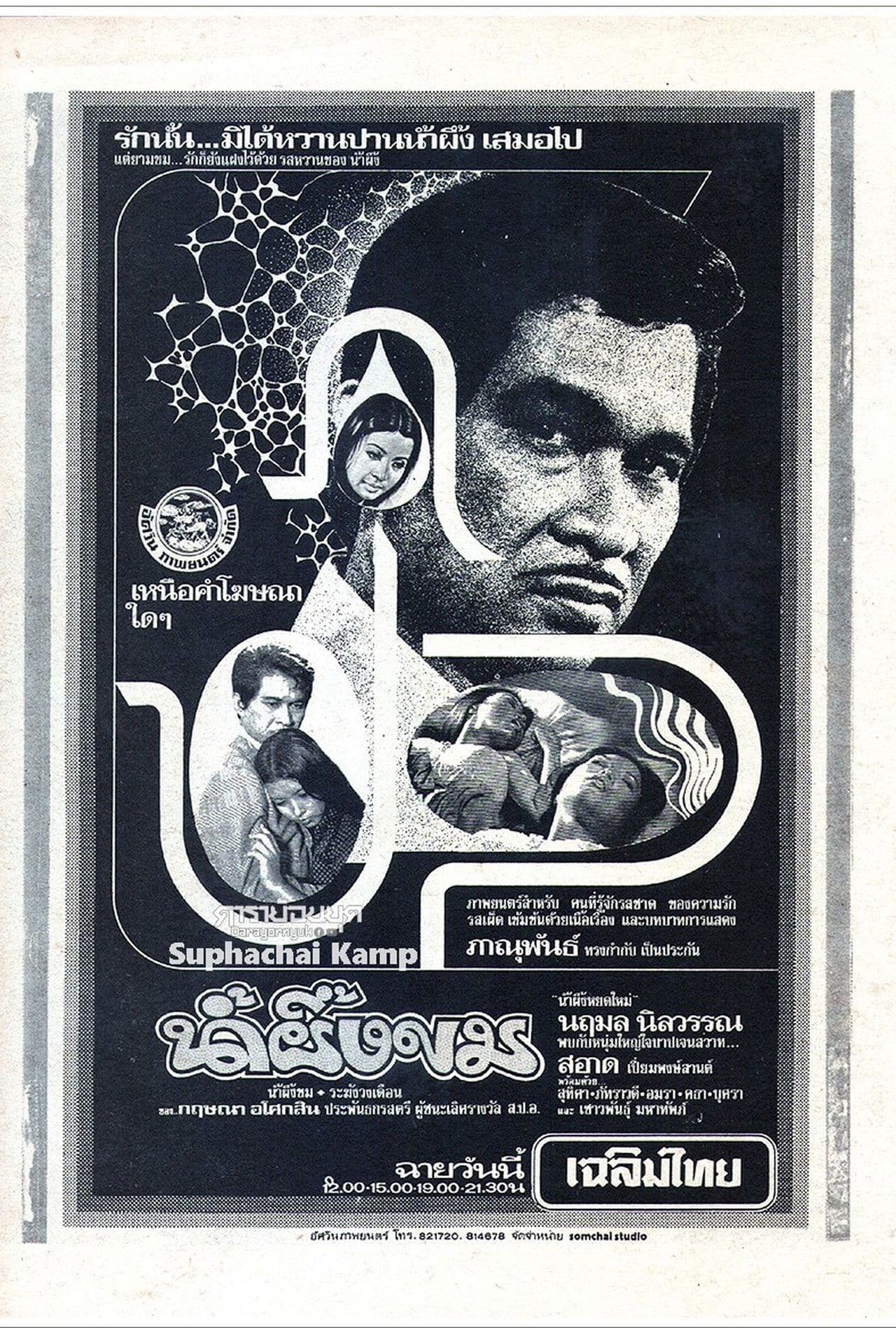 Bitter Honey streaming