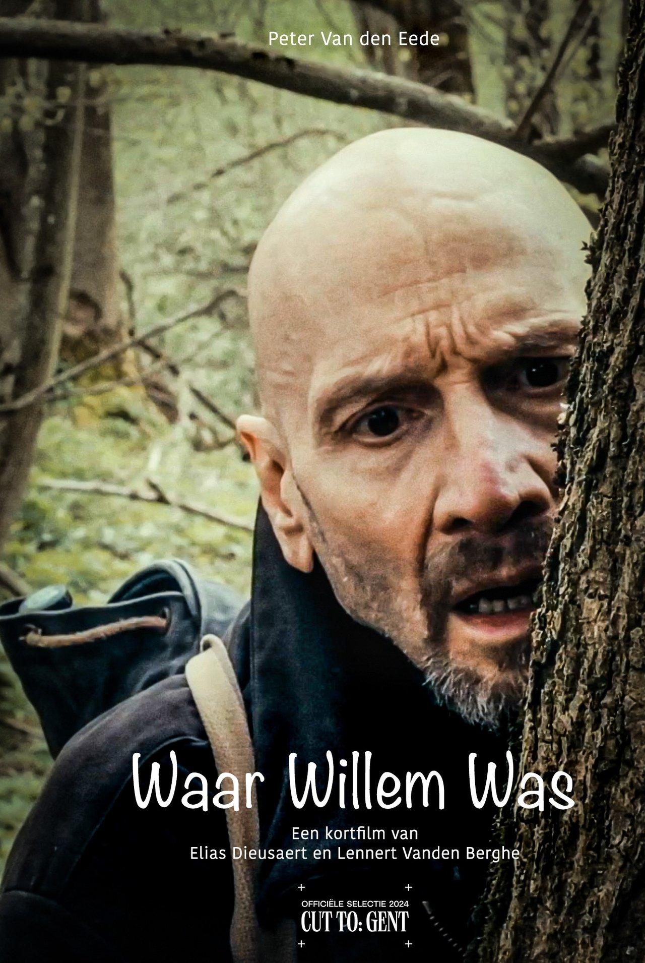 Waar Willem Was streaming