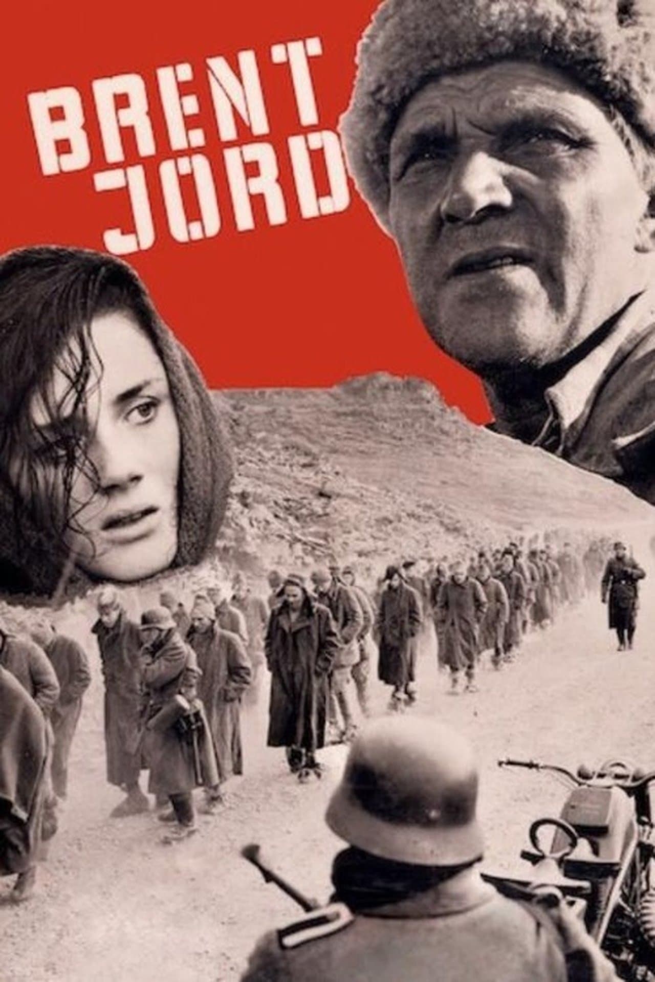 Scorched Earth streaming