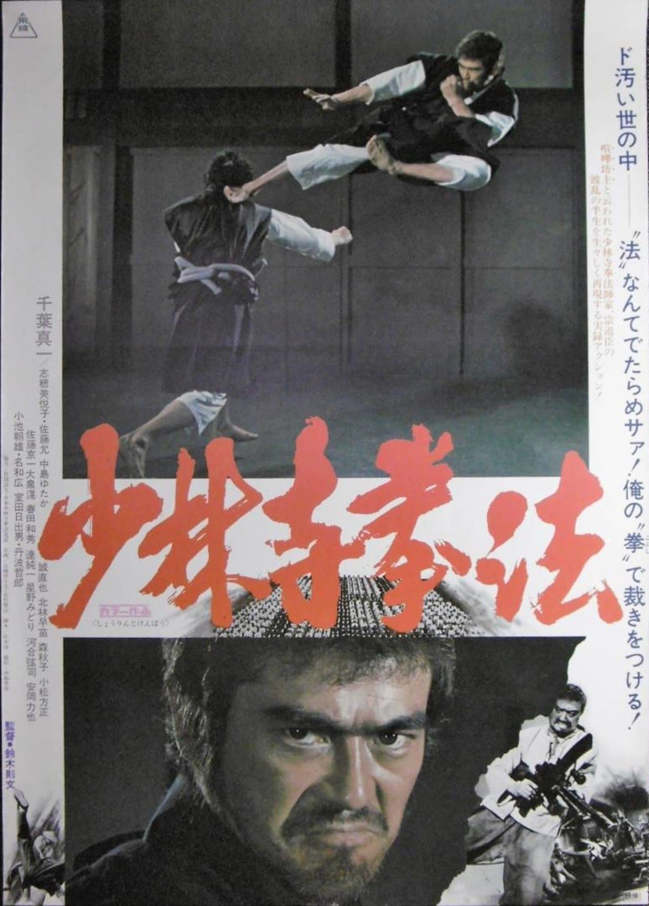 Shaolin Karaté streaming