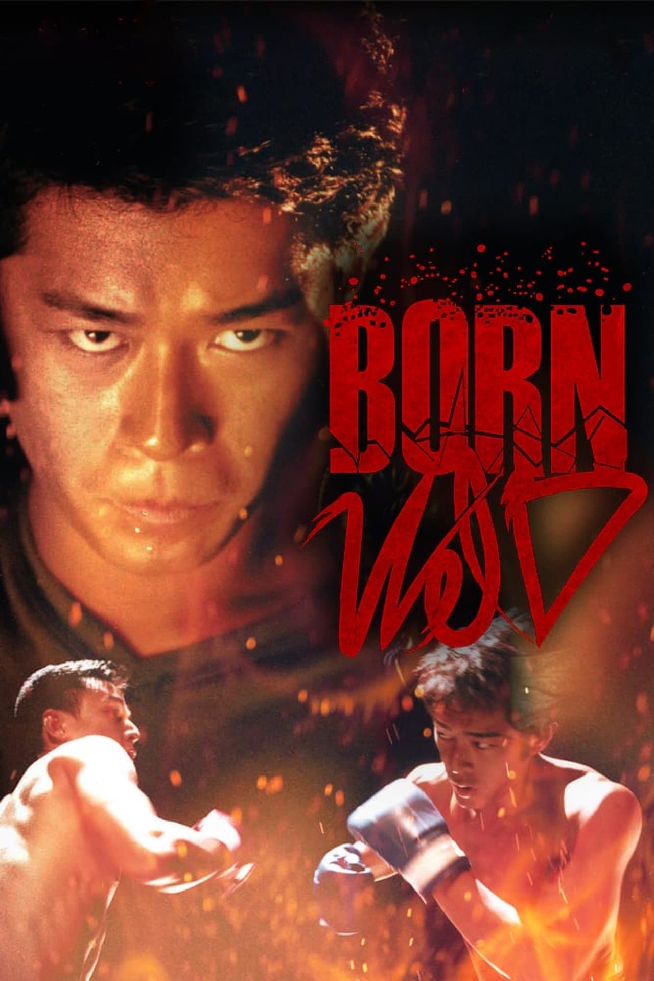 Born Wild streaming