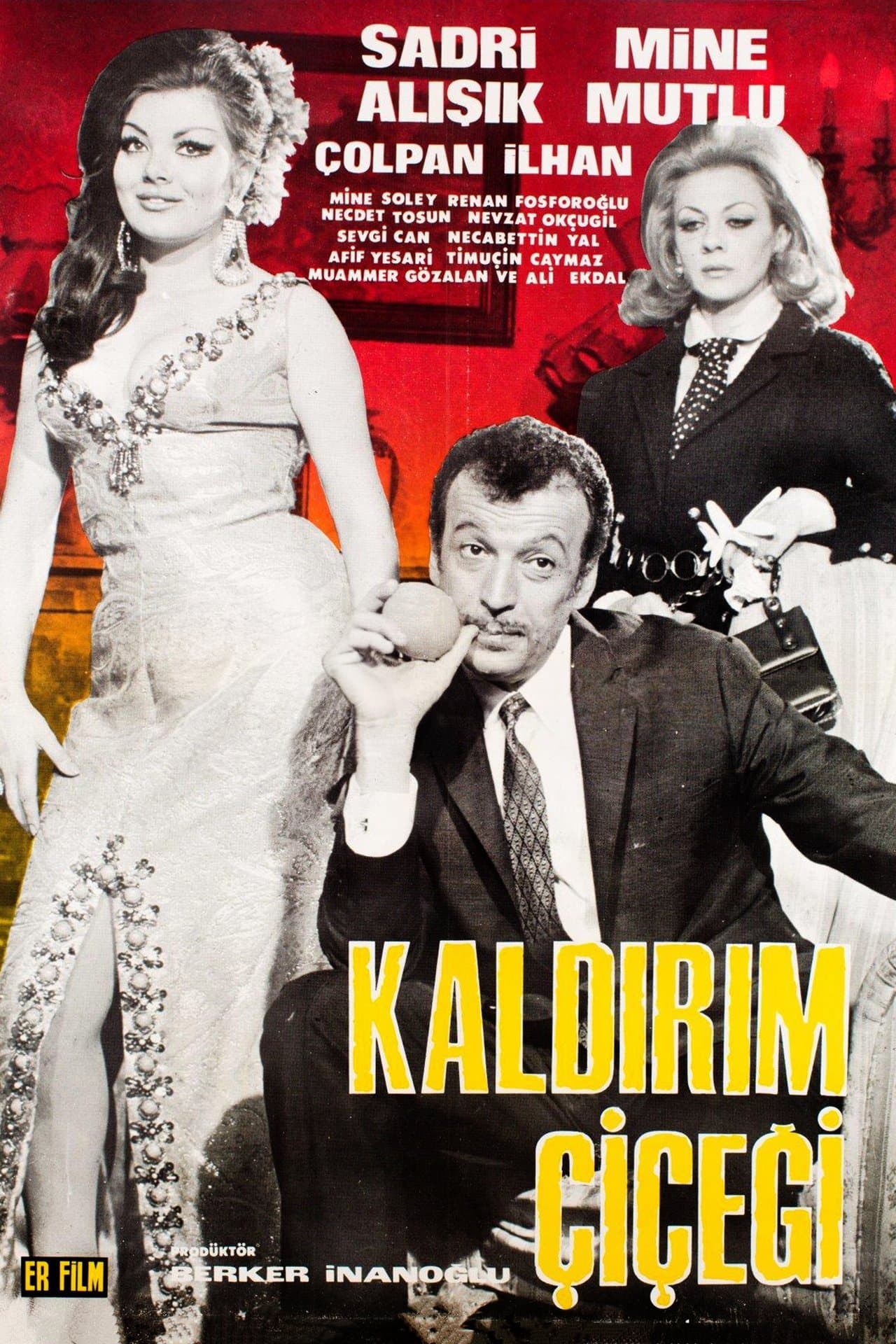 Kaldırım Çiçeği streaming