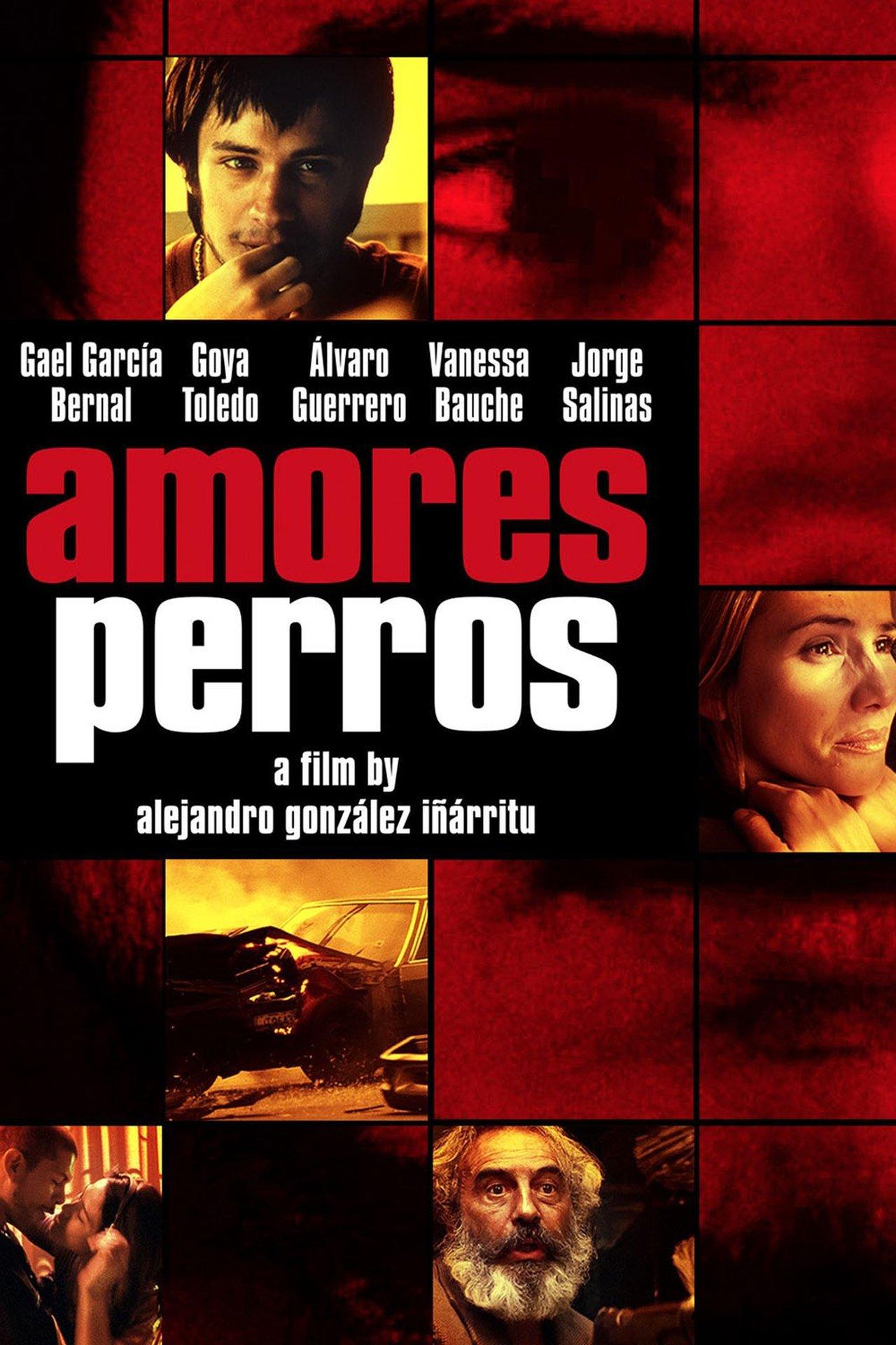 Amores Perros streaming