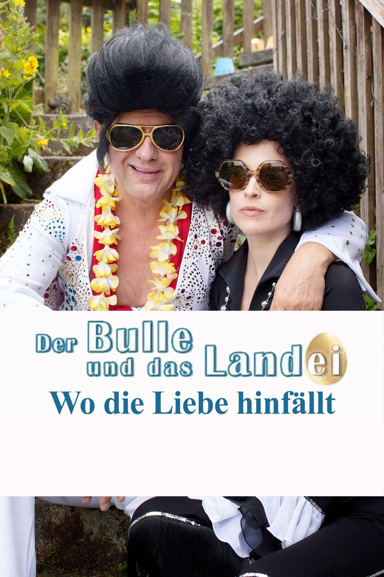 Der Bulle und das Landei - Wo die Liebe hinfällt streaming