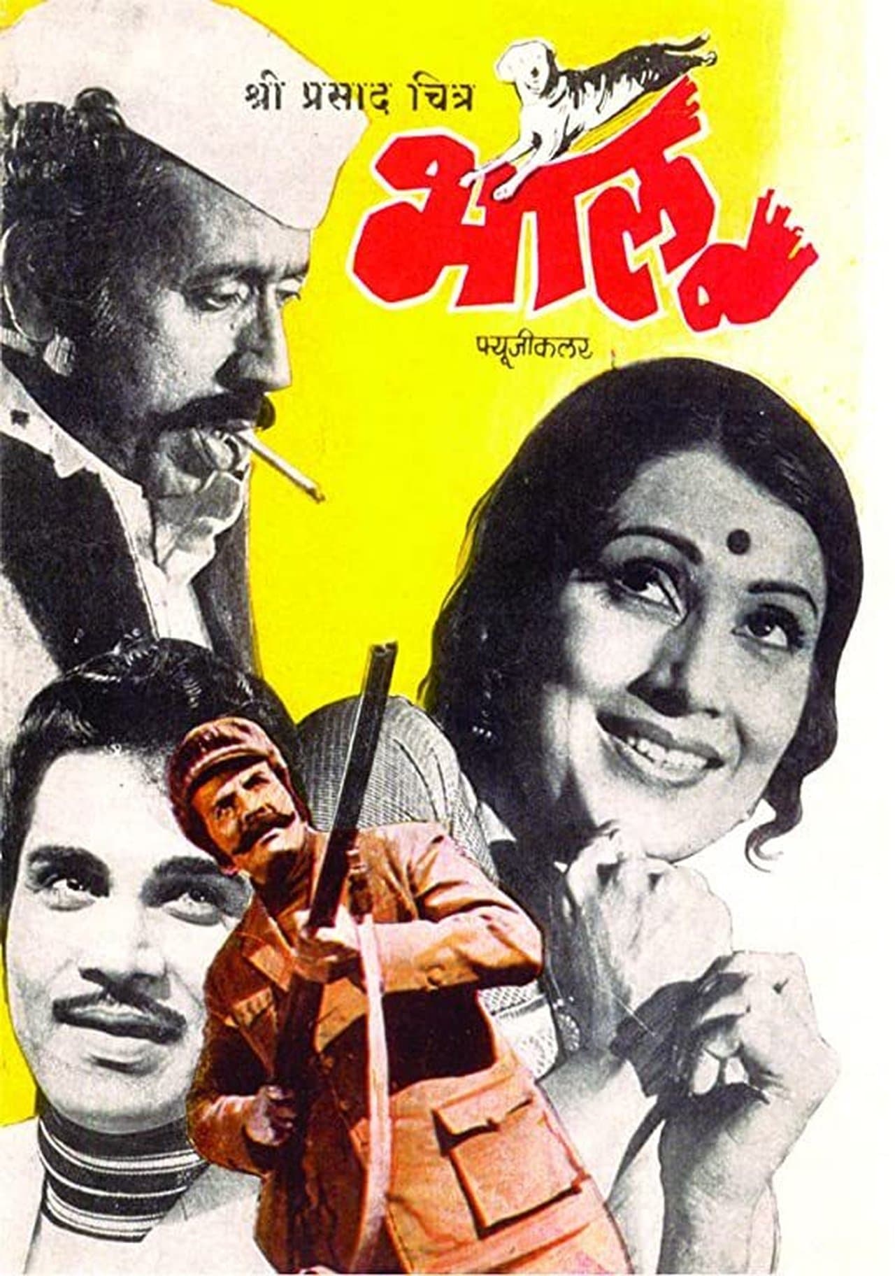 Bhalu streaming