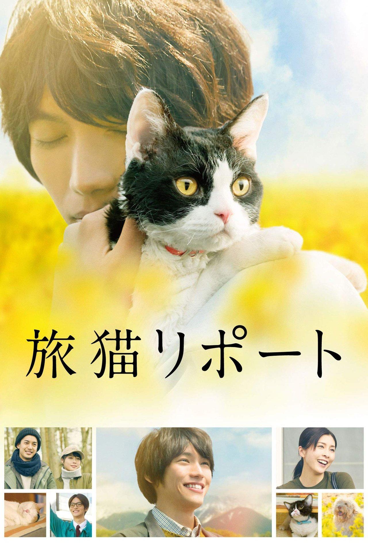 旅猫リポート streaming