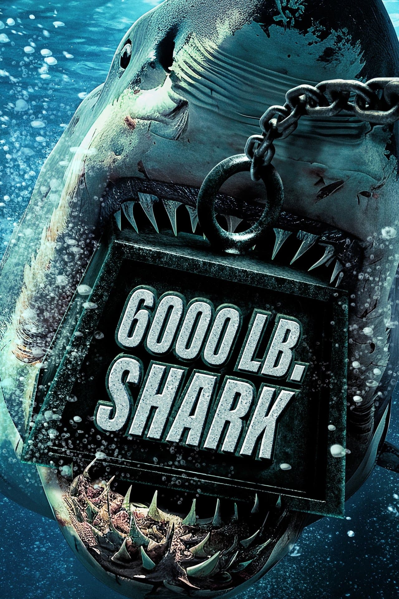 6000-LB. Shark streaming