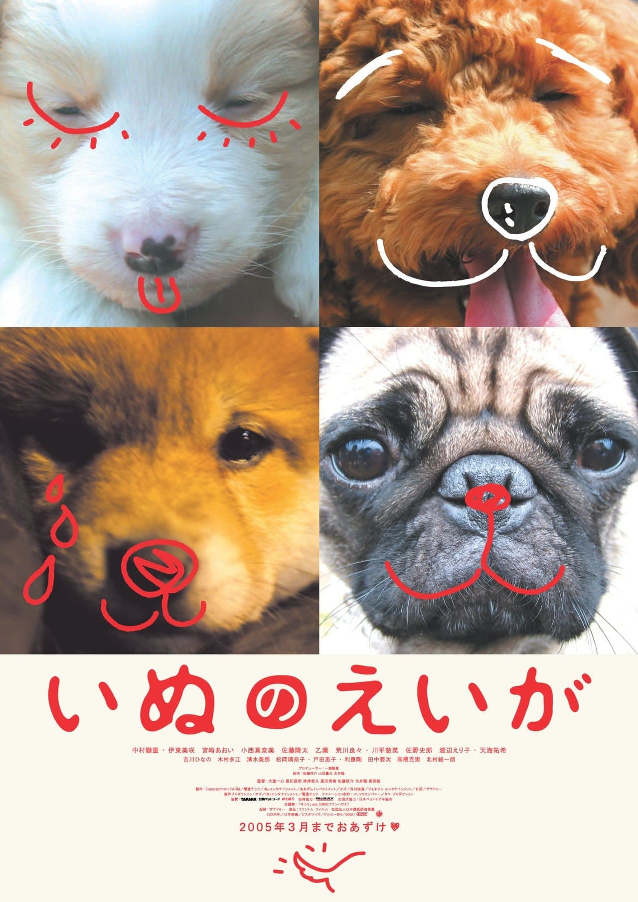 All About My Dog streaming
