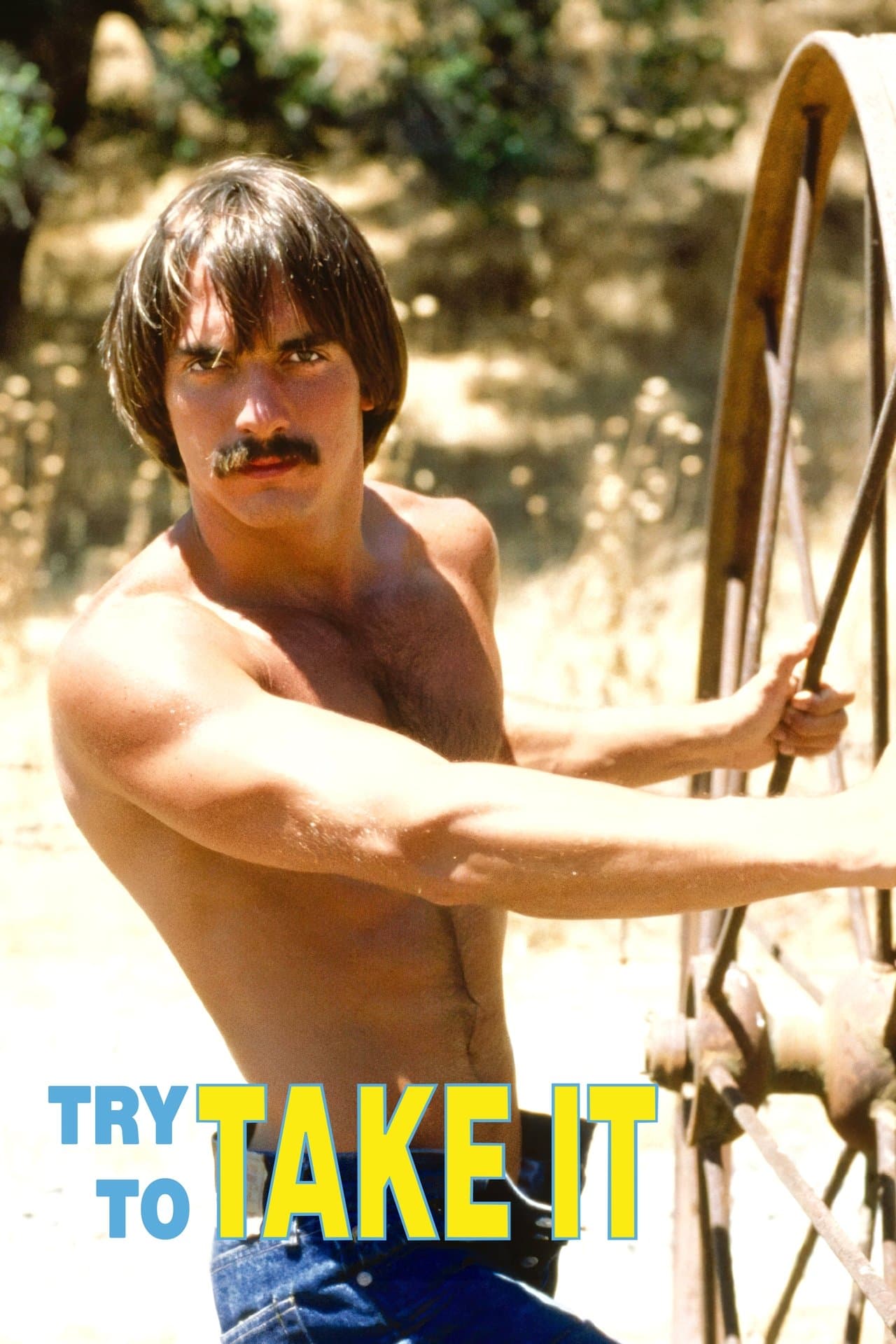 Try To Take It streaming