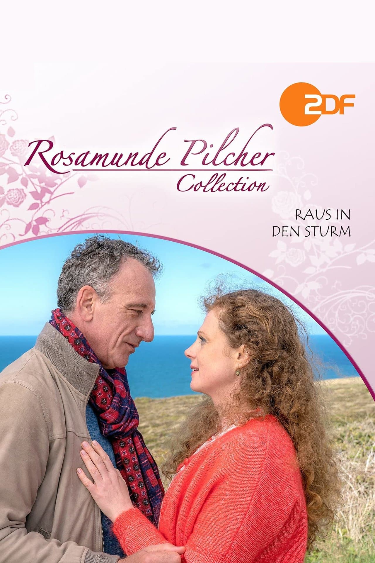Rosamunde Pilcher: Raus in den Sturm streaming