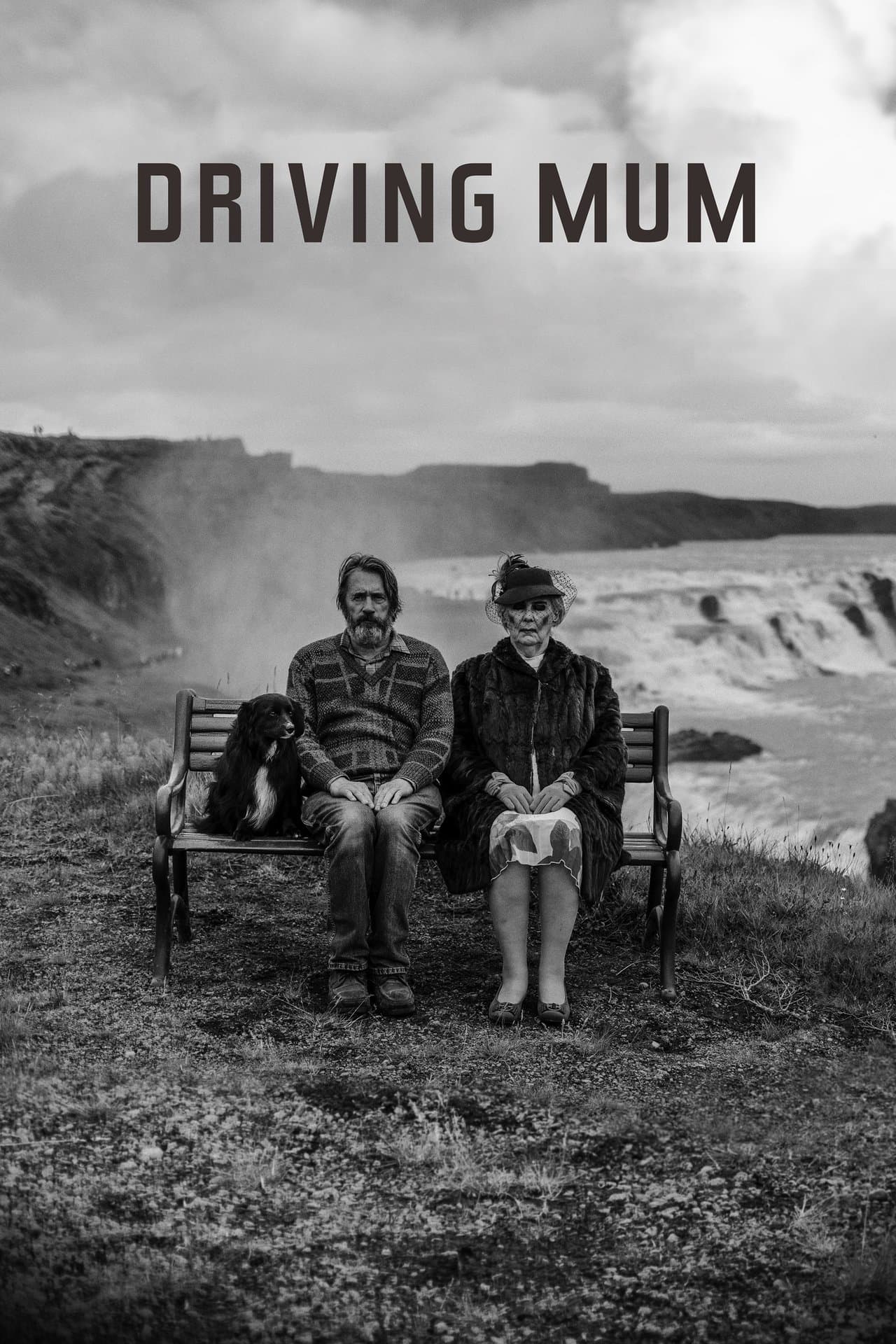Driving Mum streaming