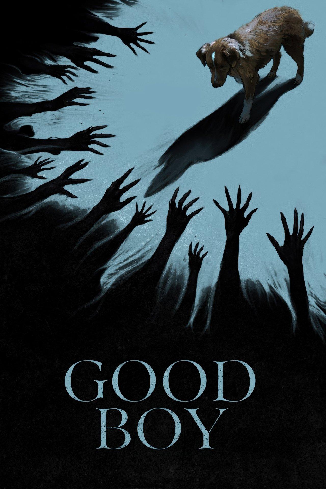 Good Boy streaming