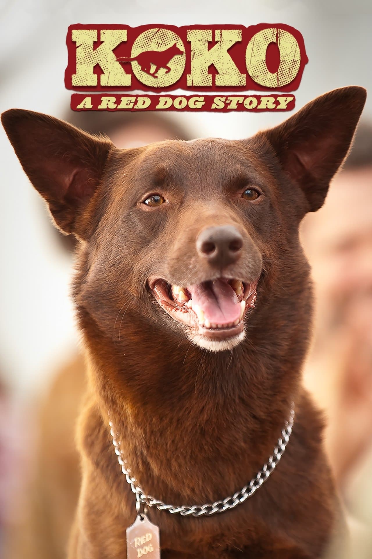 Koko: A Red Dog Story streaming