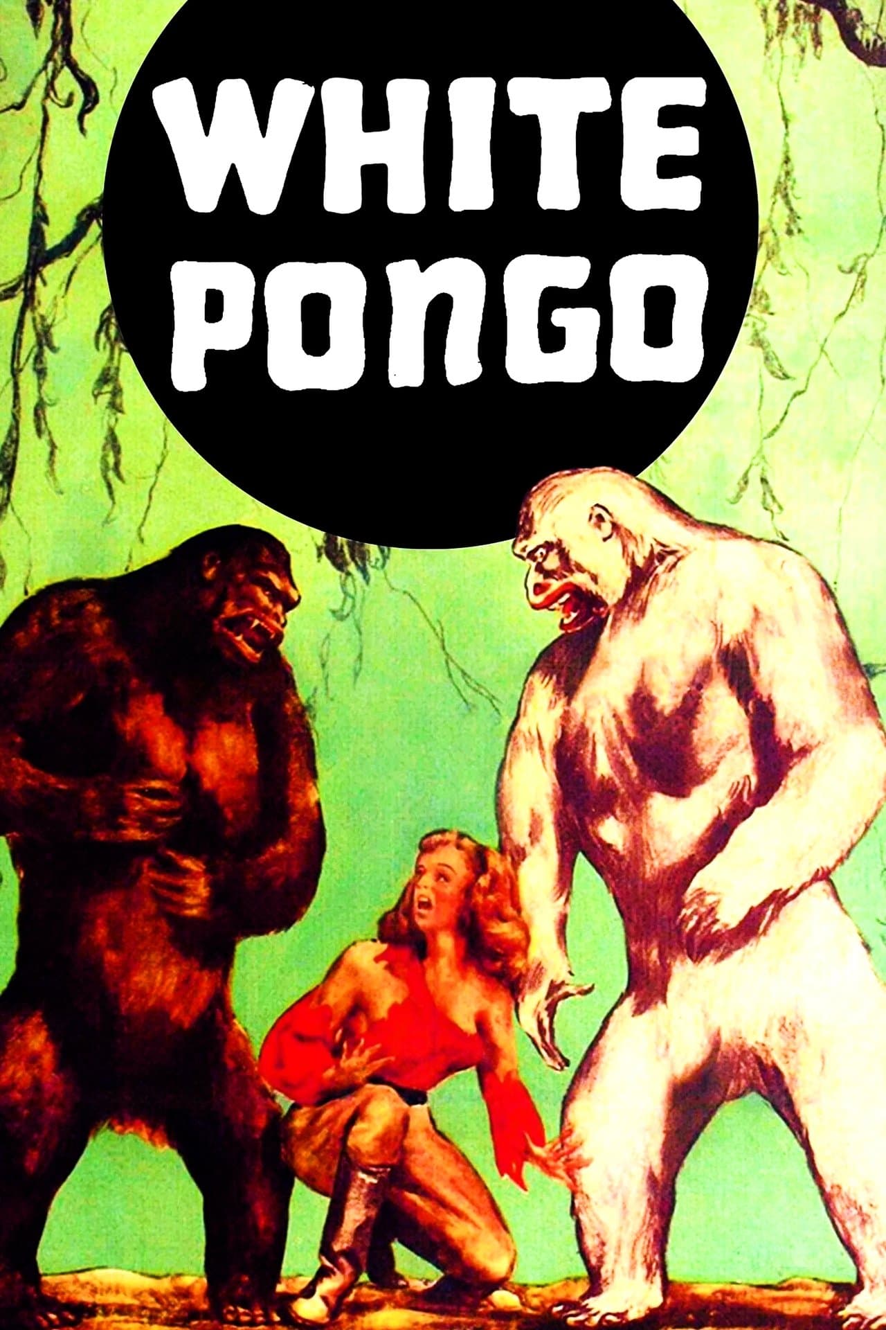 White Pongo streaming