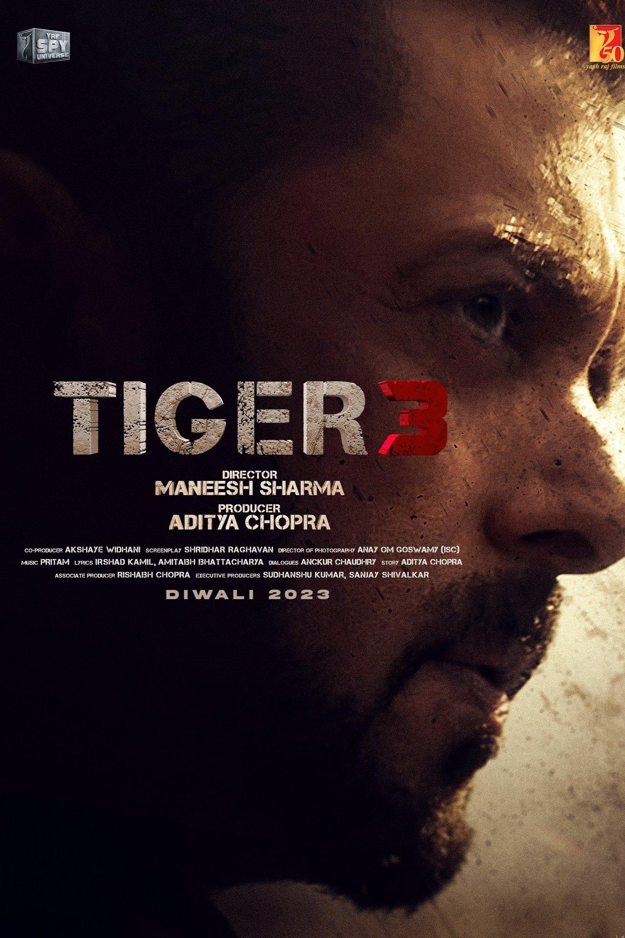 Tiger 3 streaming