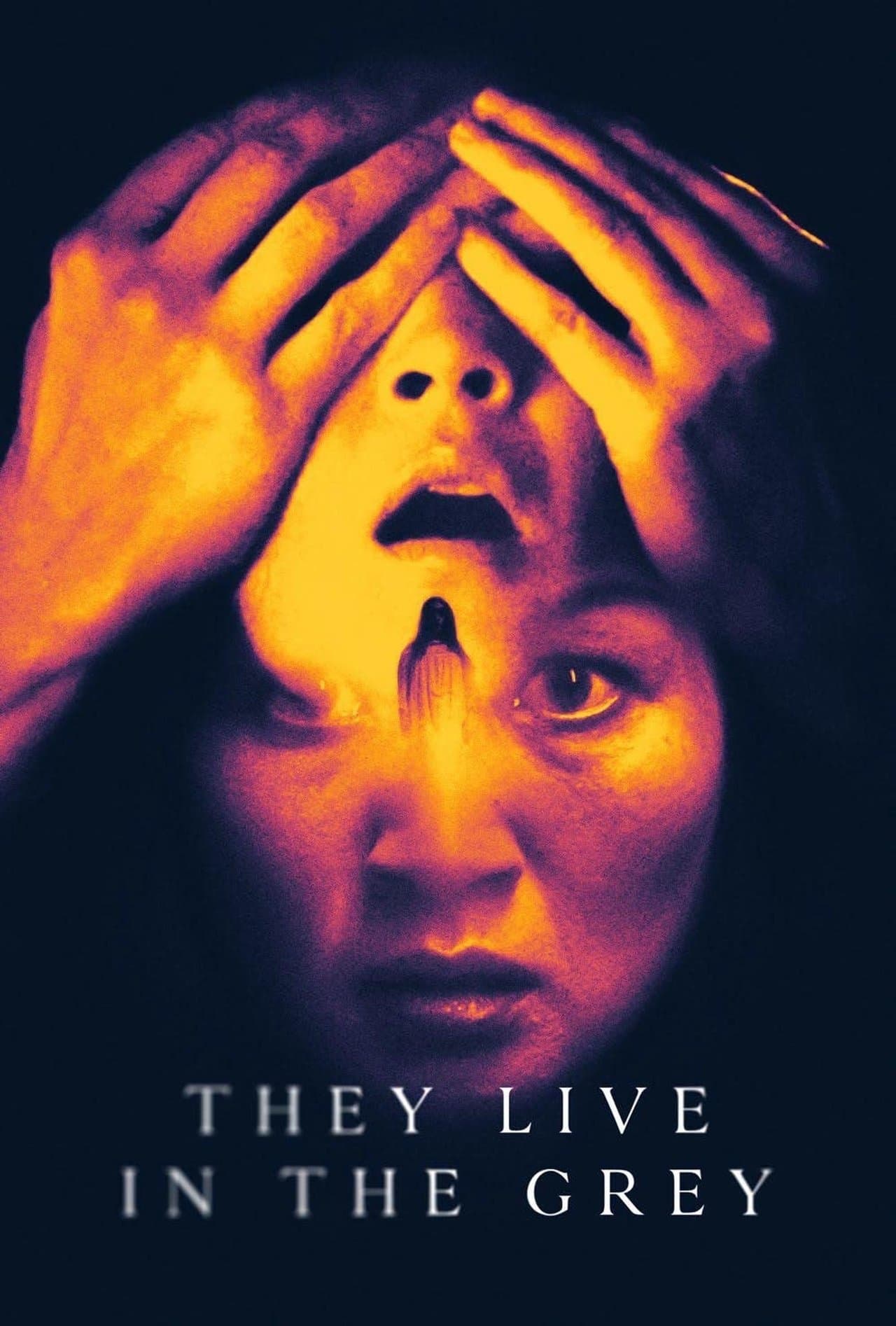 They Live in the Grey streaming