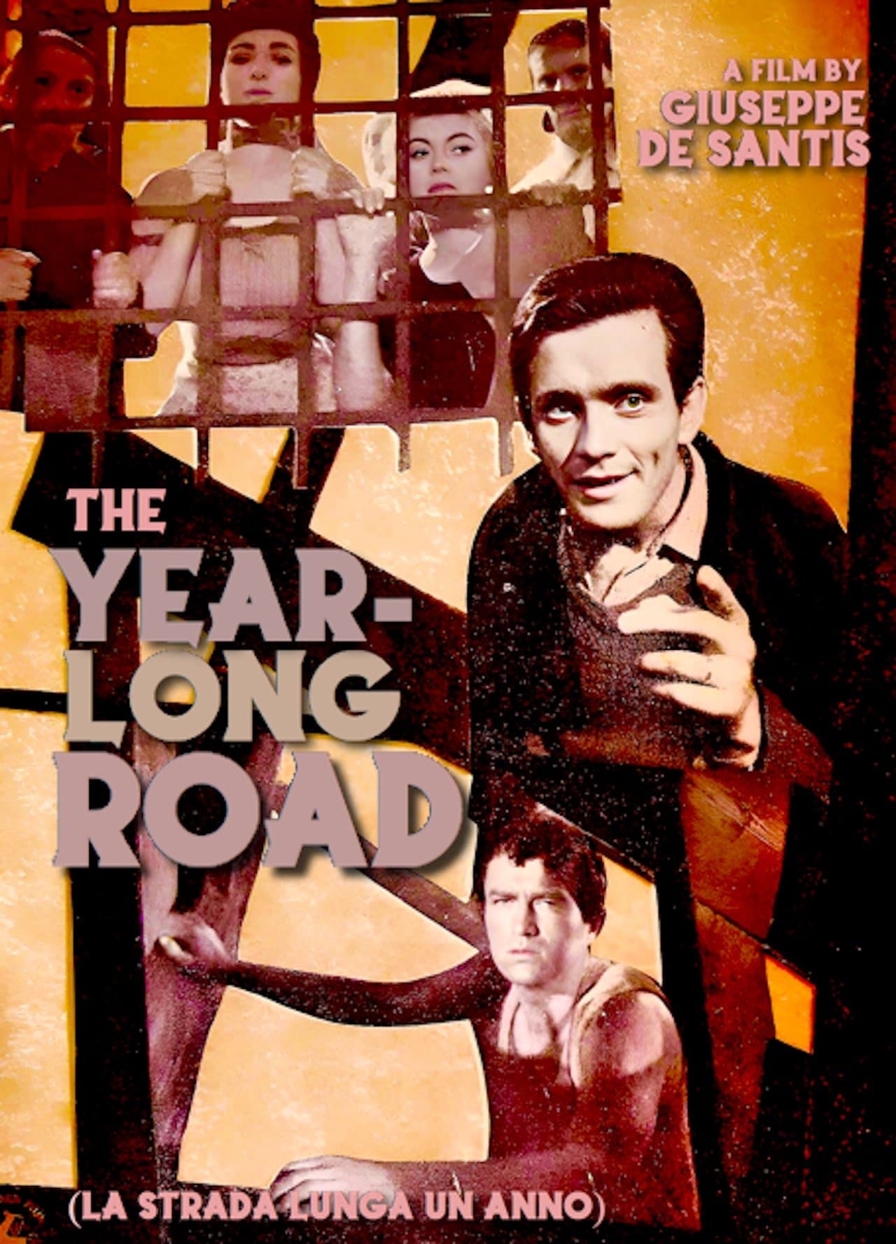 The Year Long Road streaming