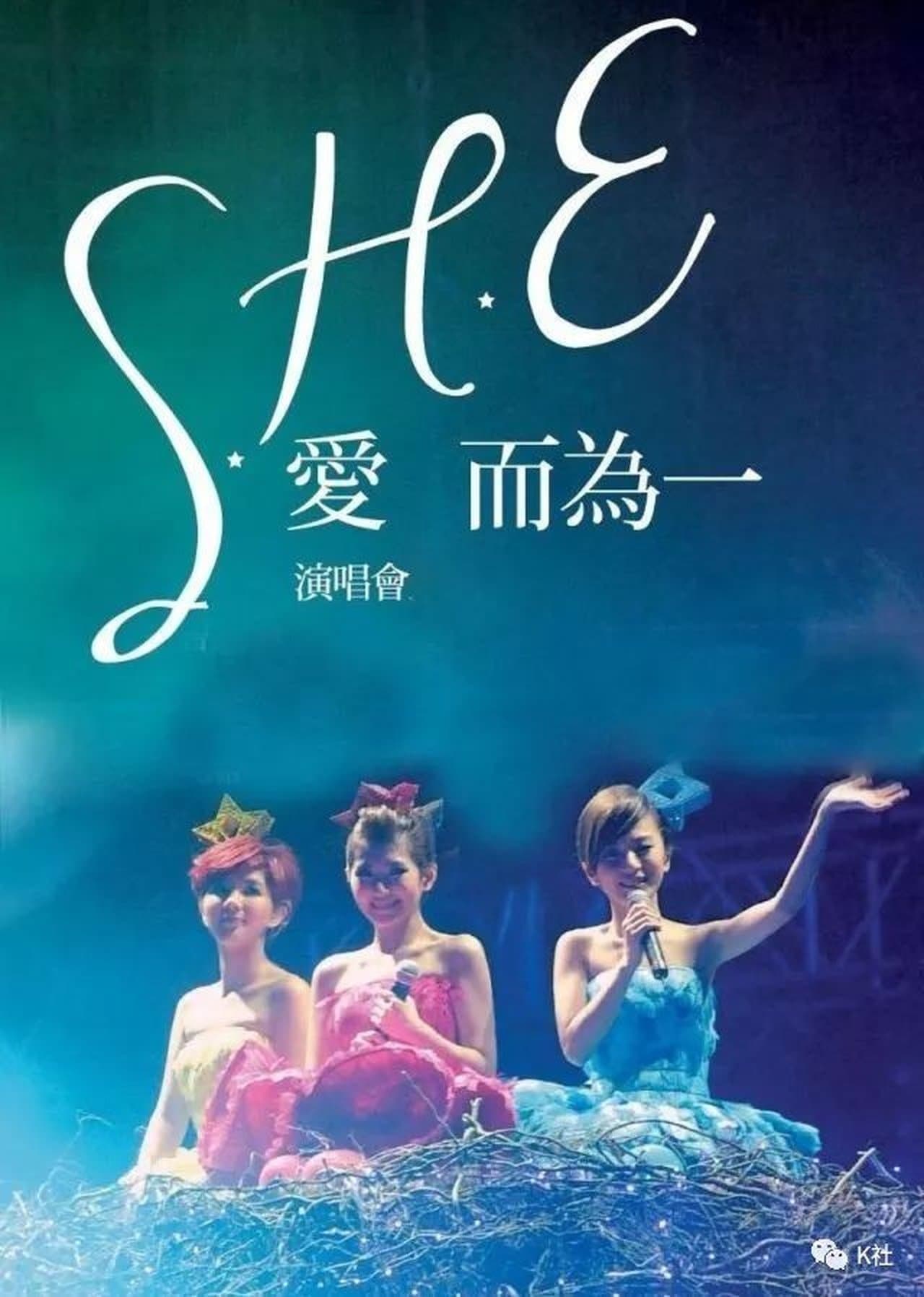 S.H.E Is The One Tour Live 2010 streaming