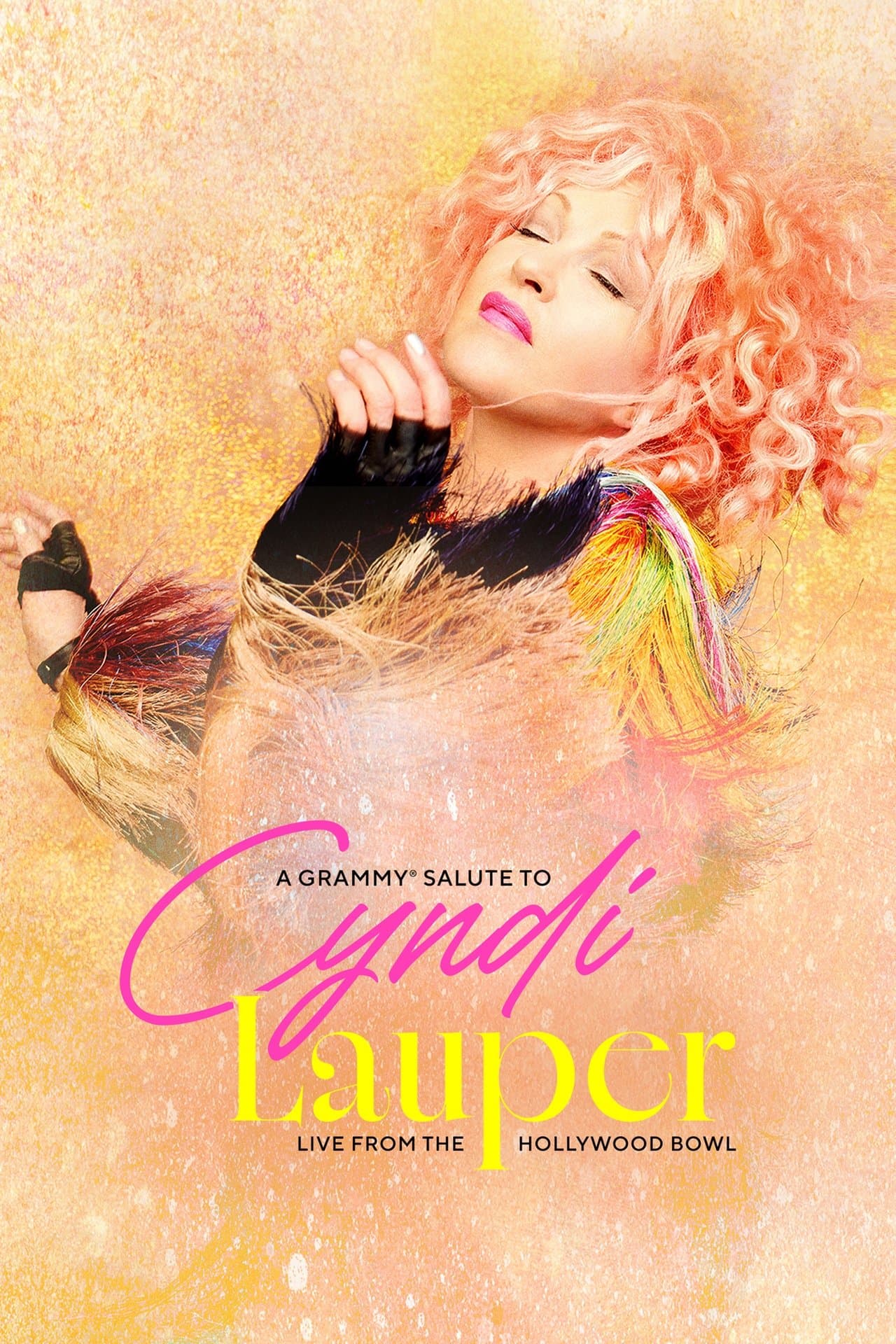 A Grammy Salute to Cyndi Lauper: Live from the Hollywood Bowl streaming