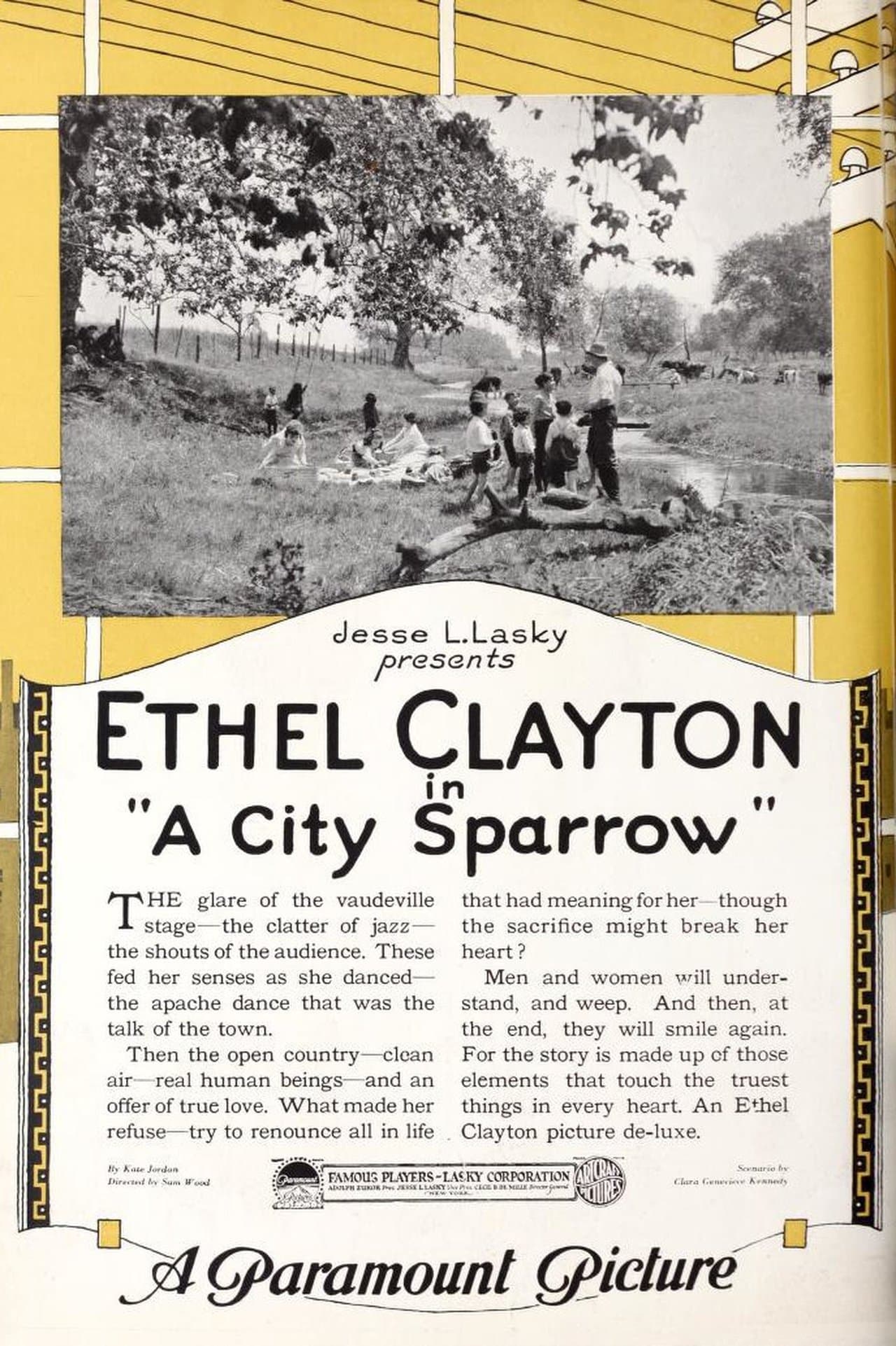 A City Sparrow streaming