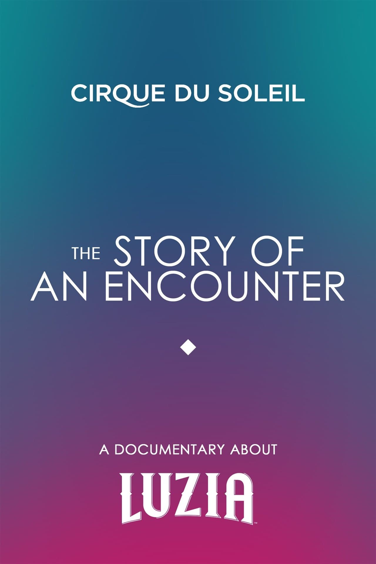 The Story Of An Encounter streaming