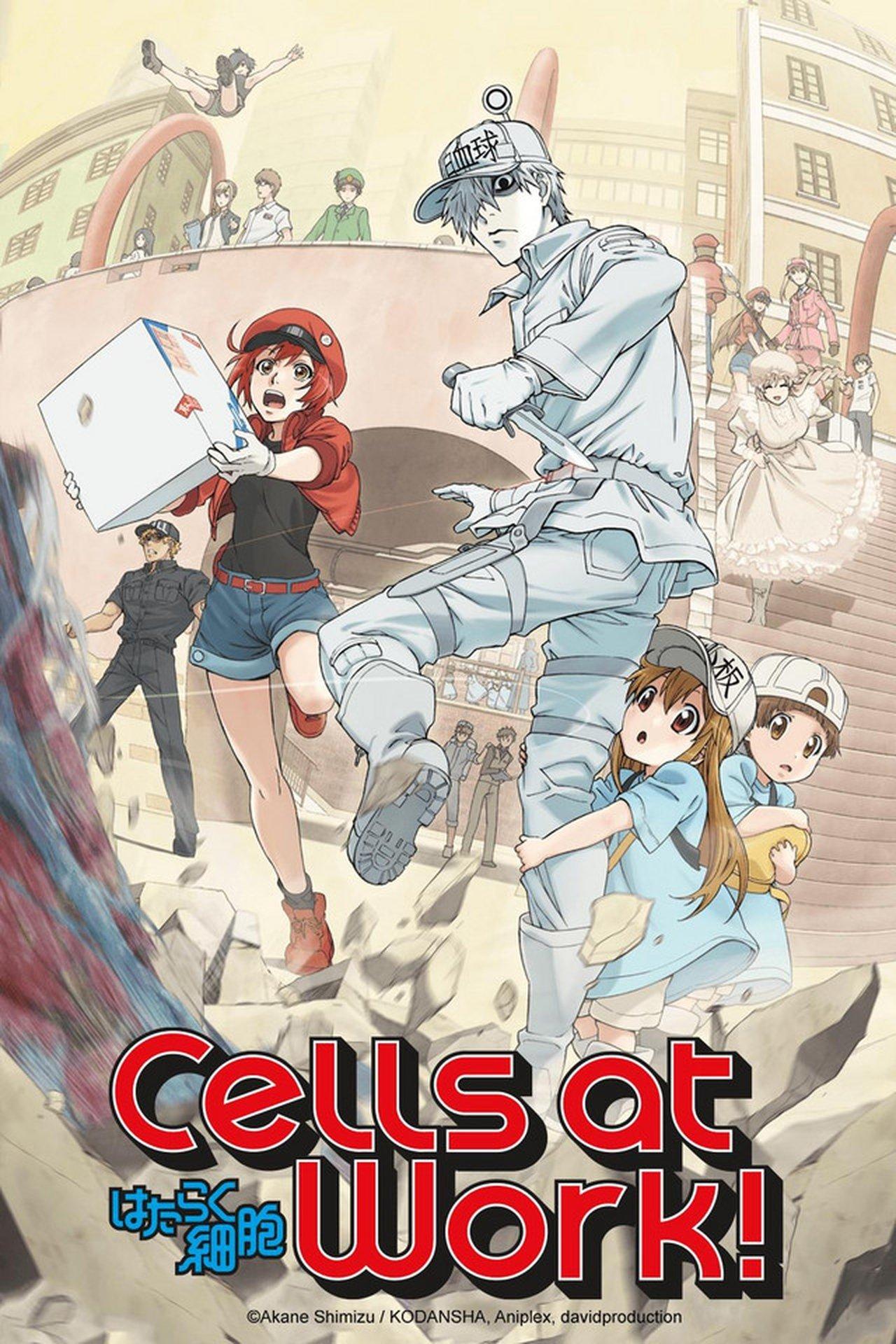 Cells at Work! streaming
