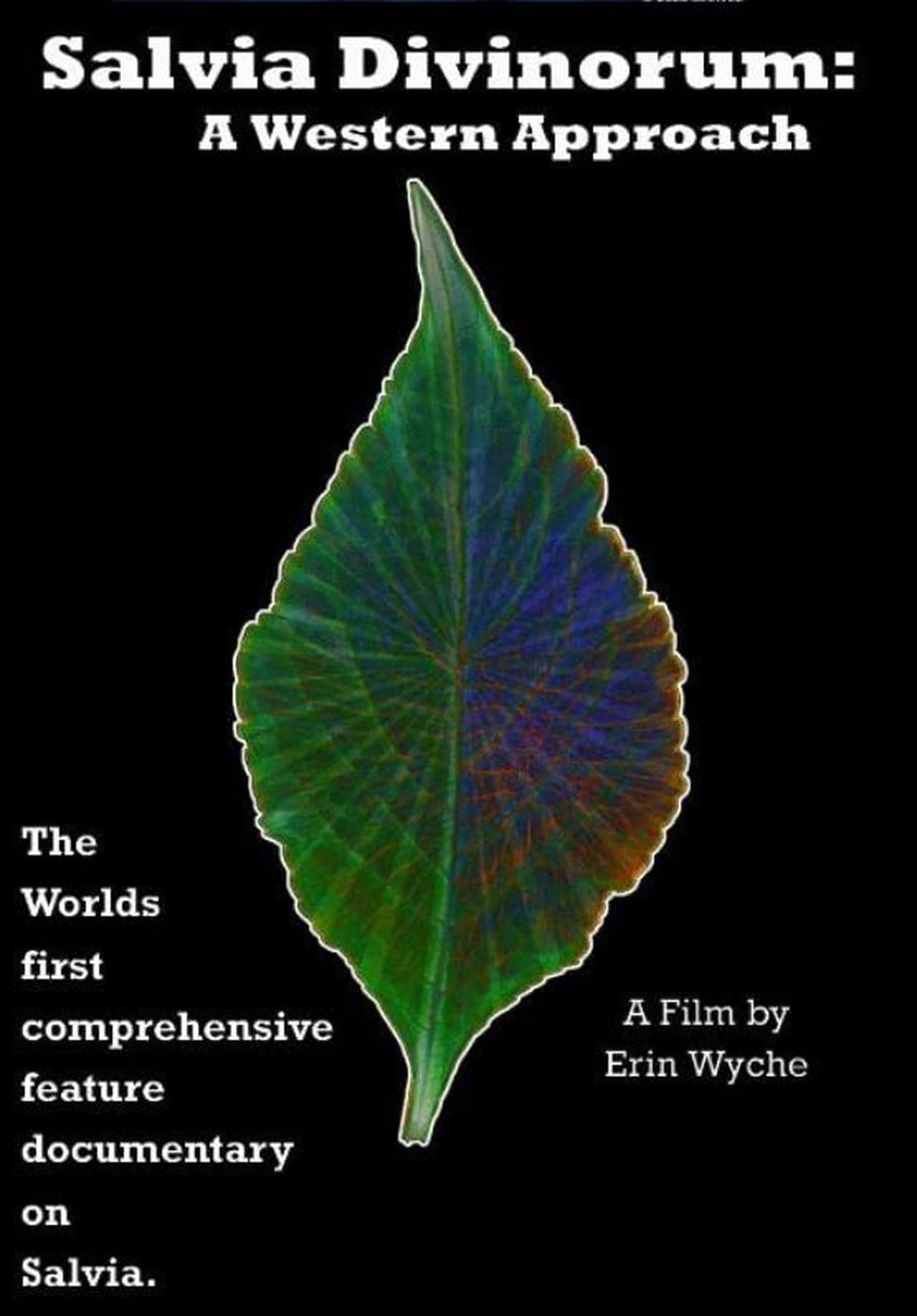 Salvia Divinorum: A Western Approach streaming