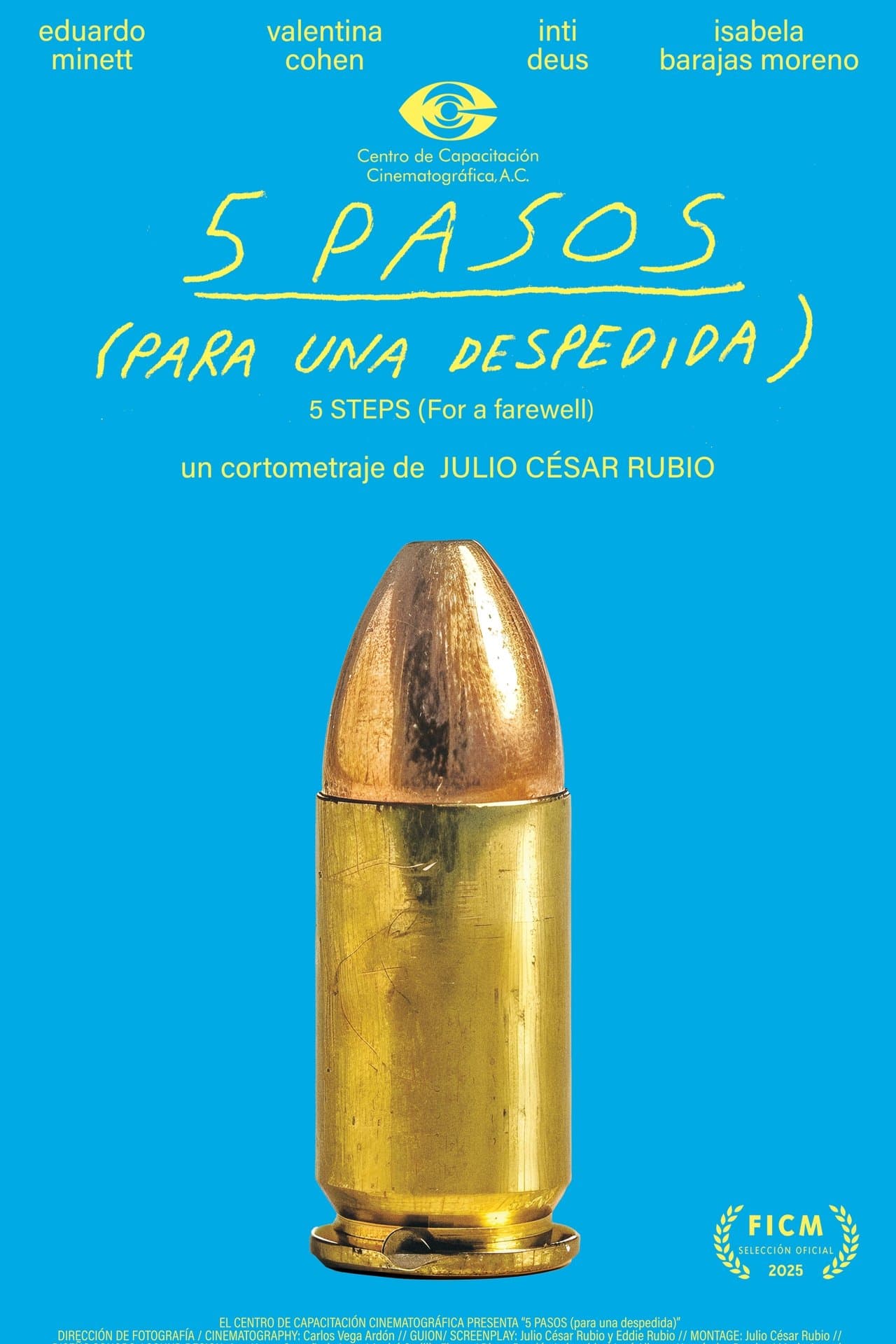 5 PASOS (para una despedida) streaming