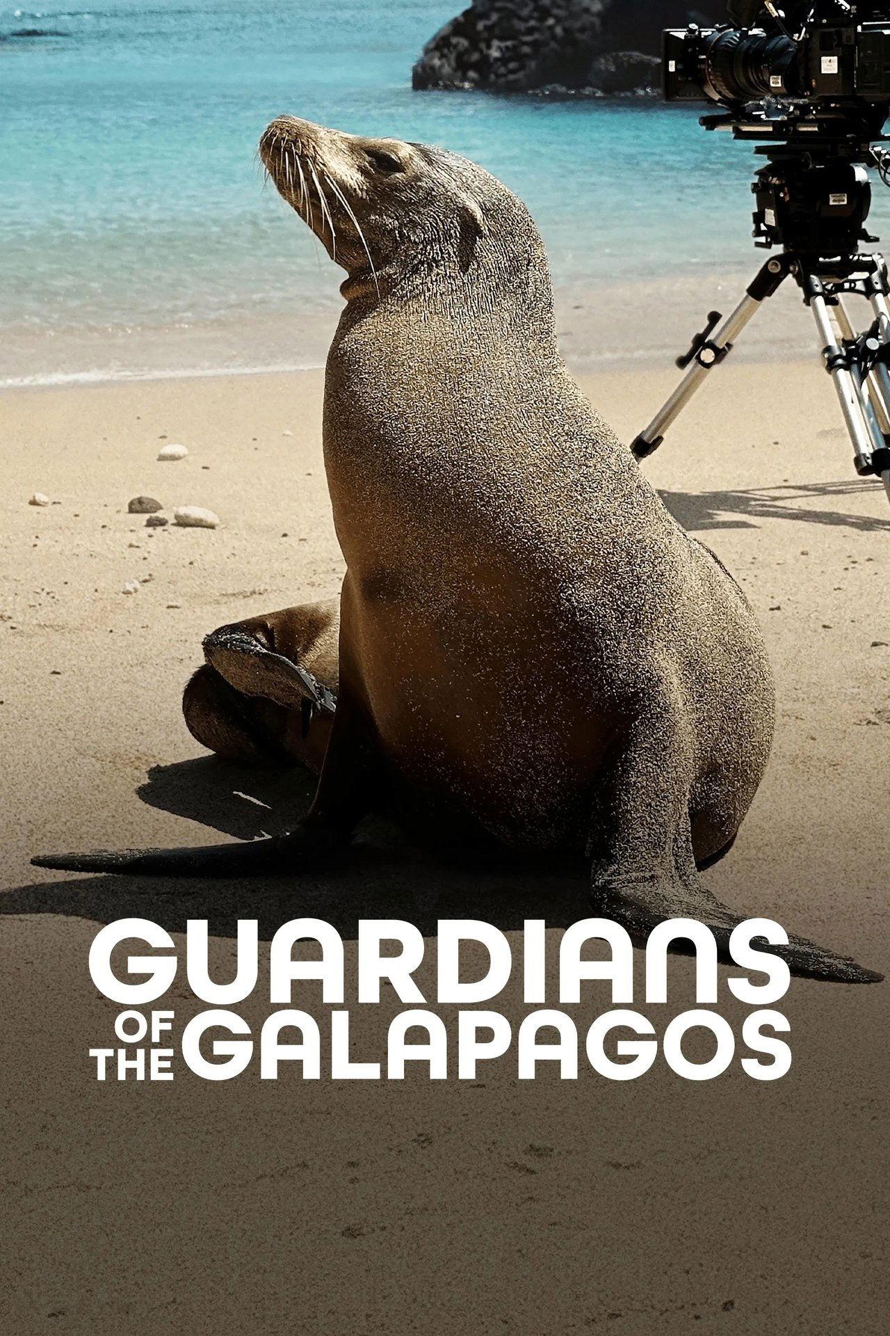 Guardians of the Galapagos streaming
