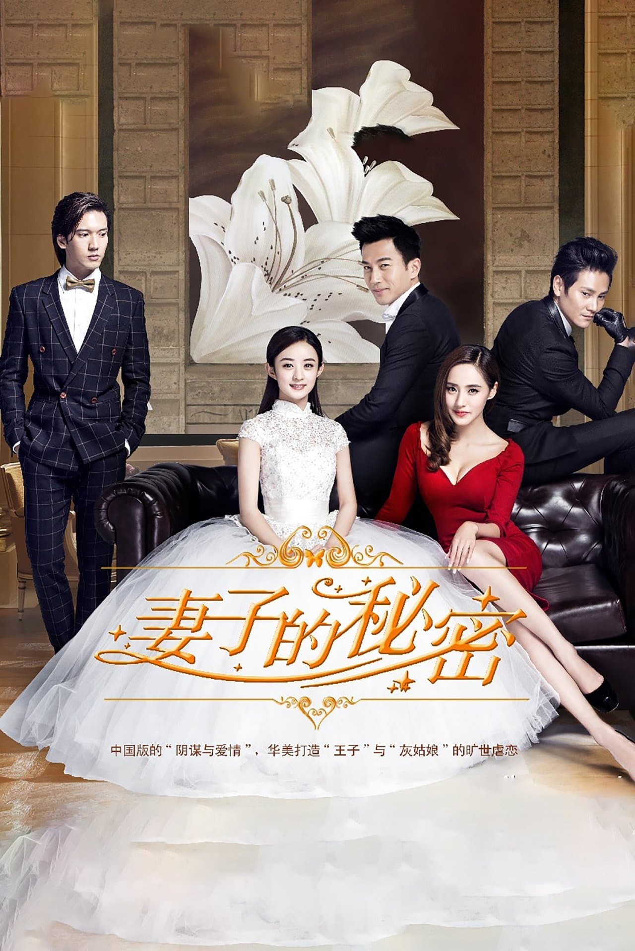 妻子的秘密 streaming