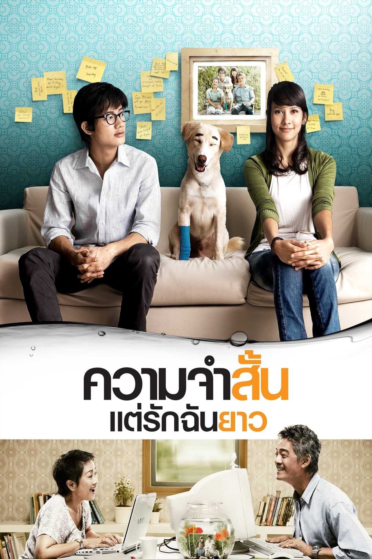 ความจำสั้น แต่รักฉันยาว streaming