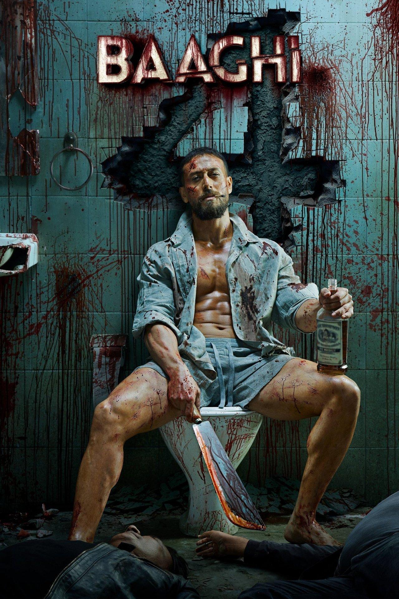 Baaghi 4 streaming