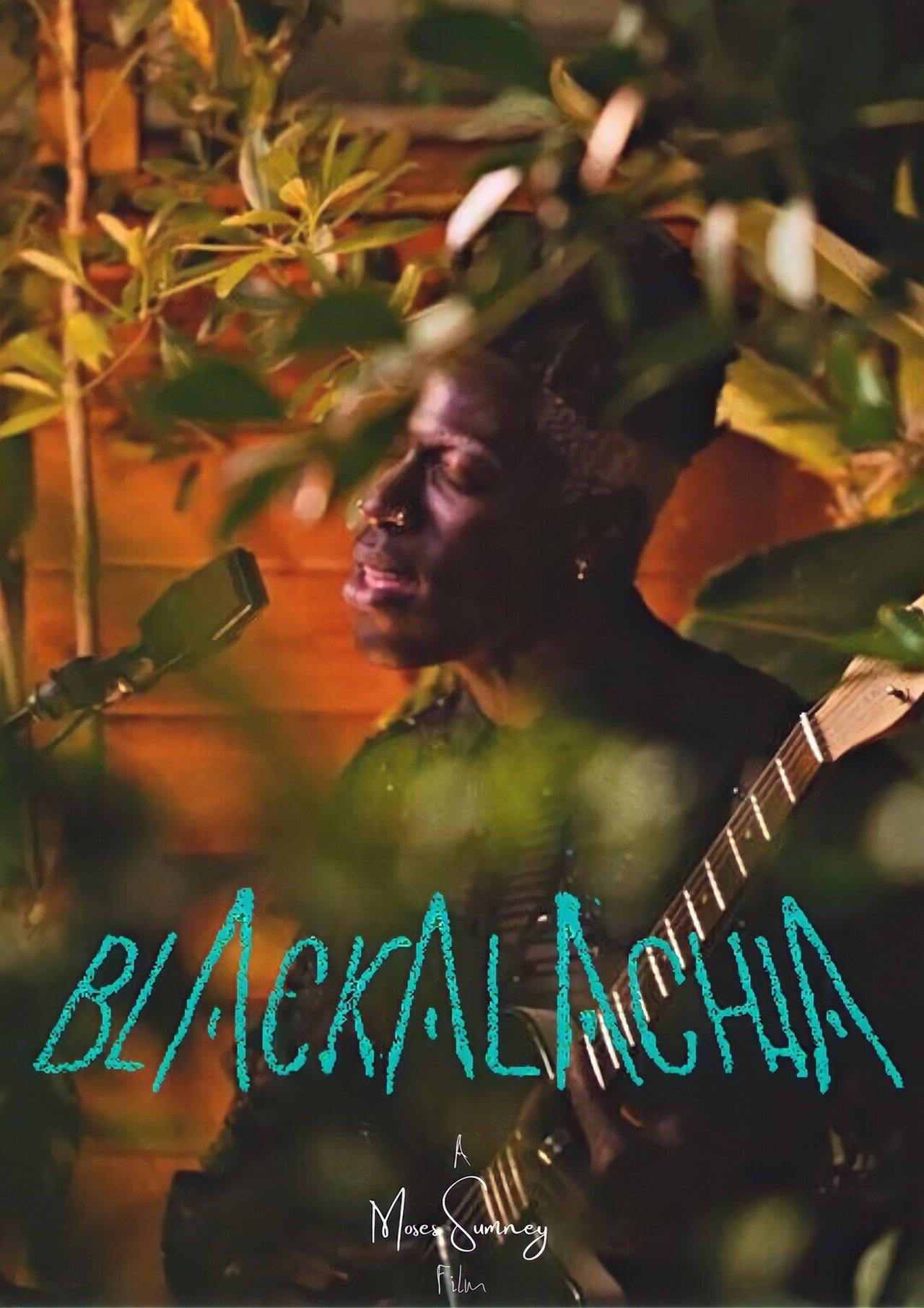 Blackalachia streaming