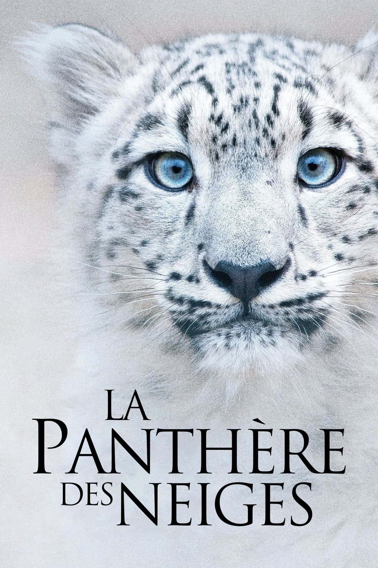 La Panthère des neiges streaming