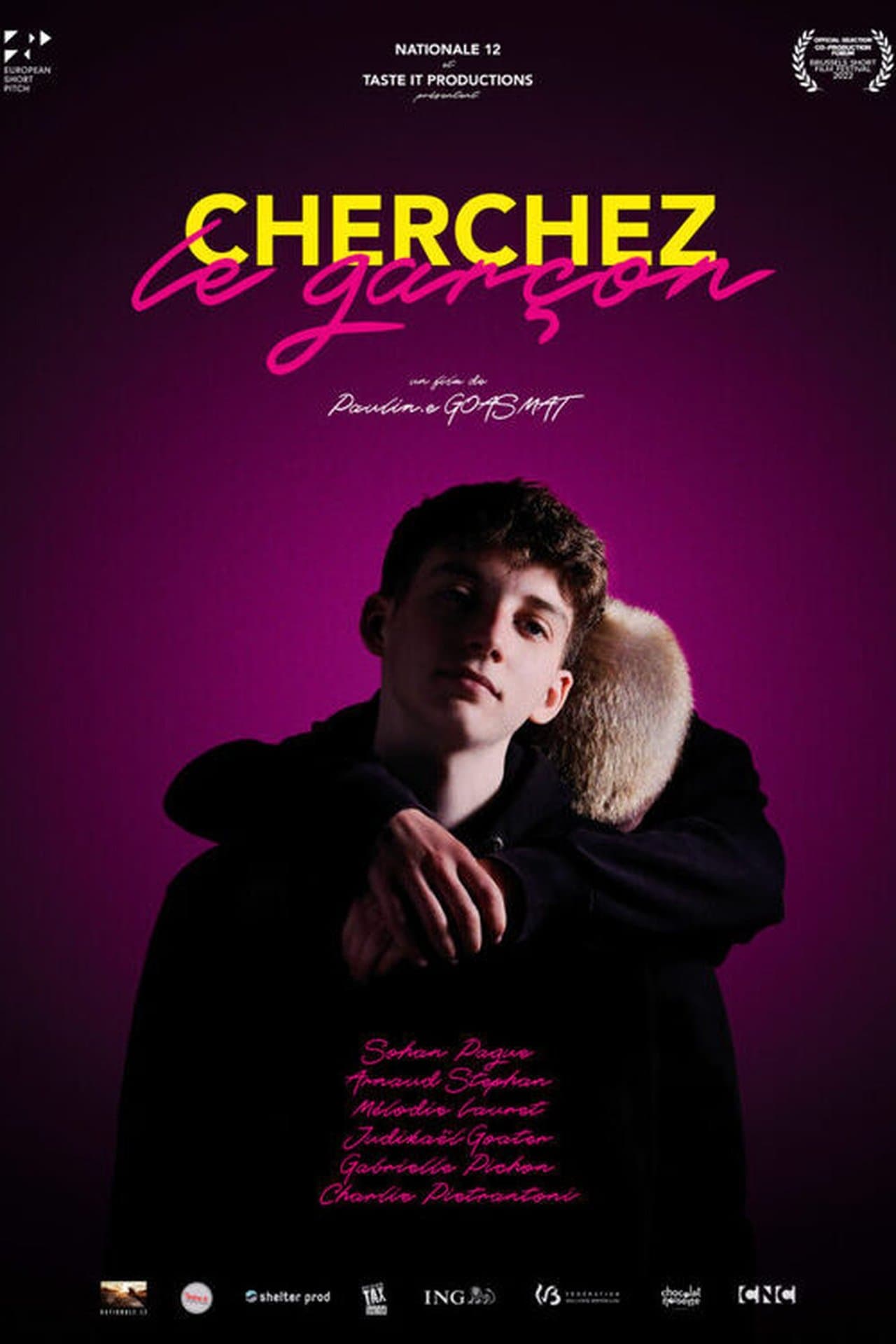 Cherchez le garçon streaming